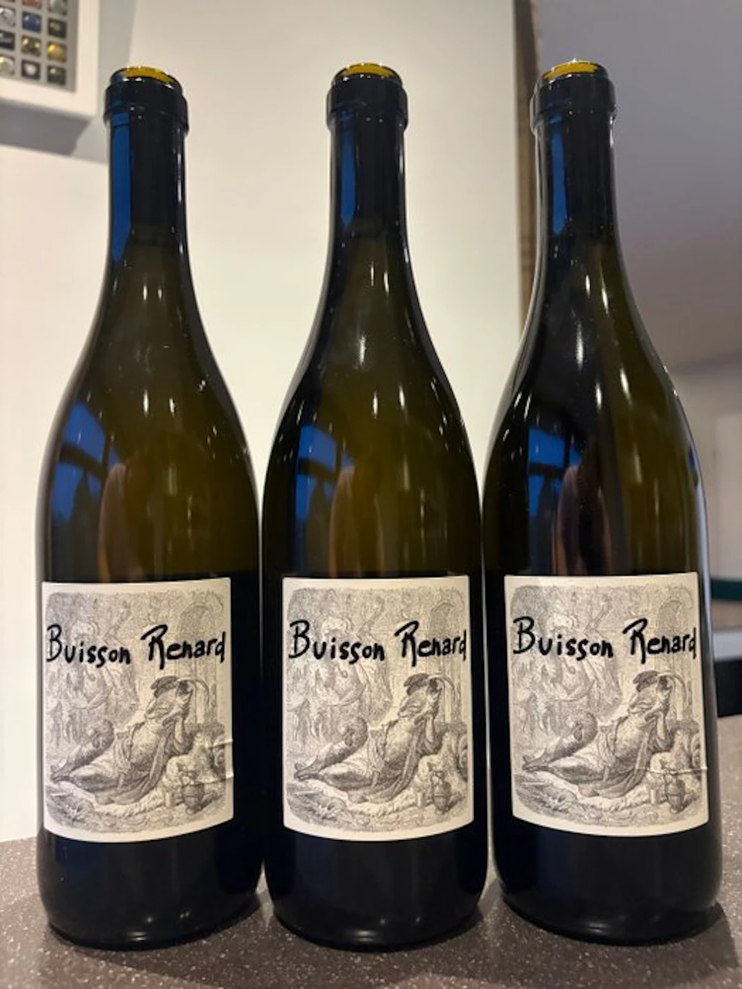 2023 Didier Dagueneau "Buisson Renard" - Loire - 3 Bottles (0.75L)