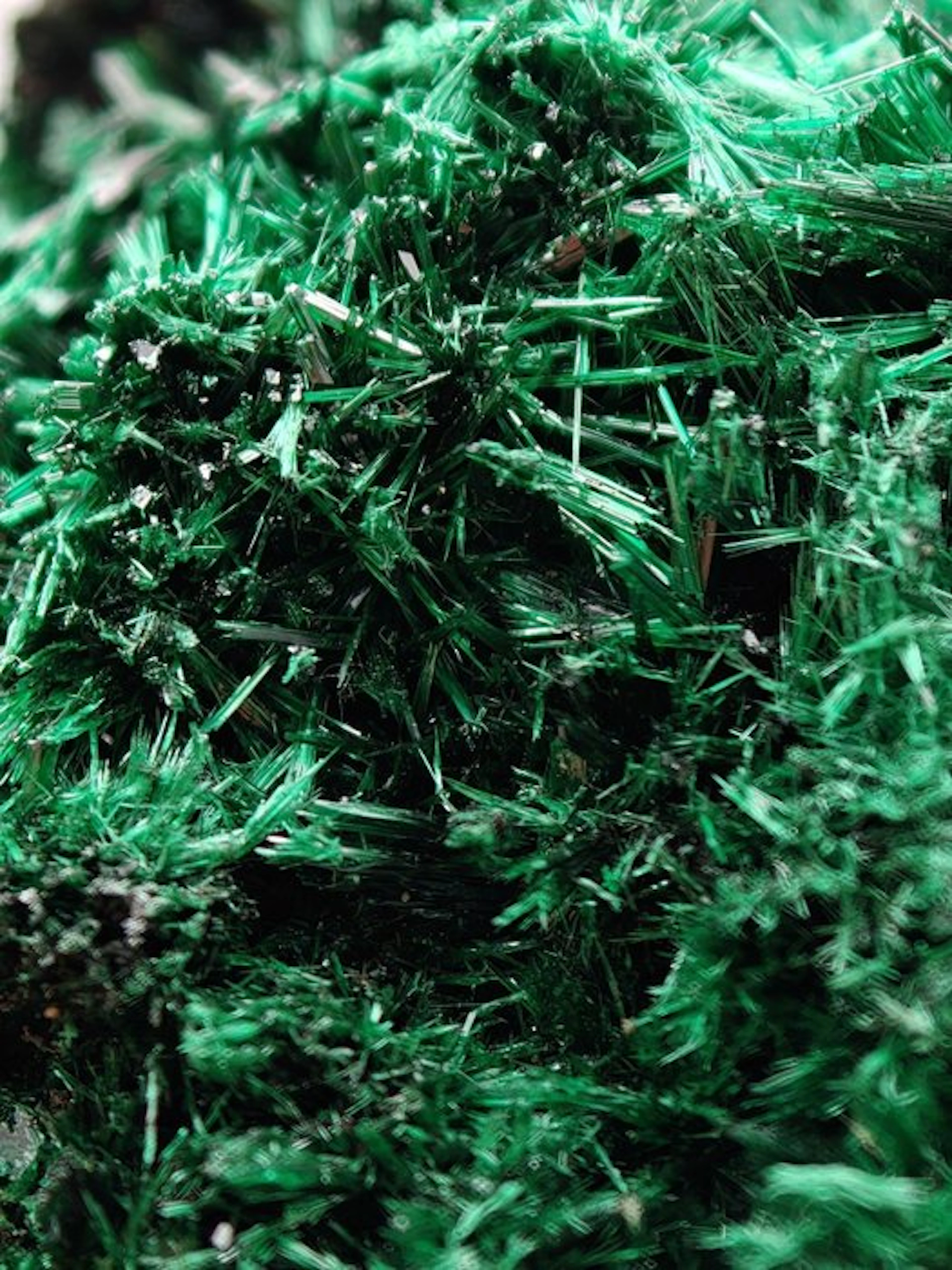Splendid green brochantite