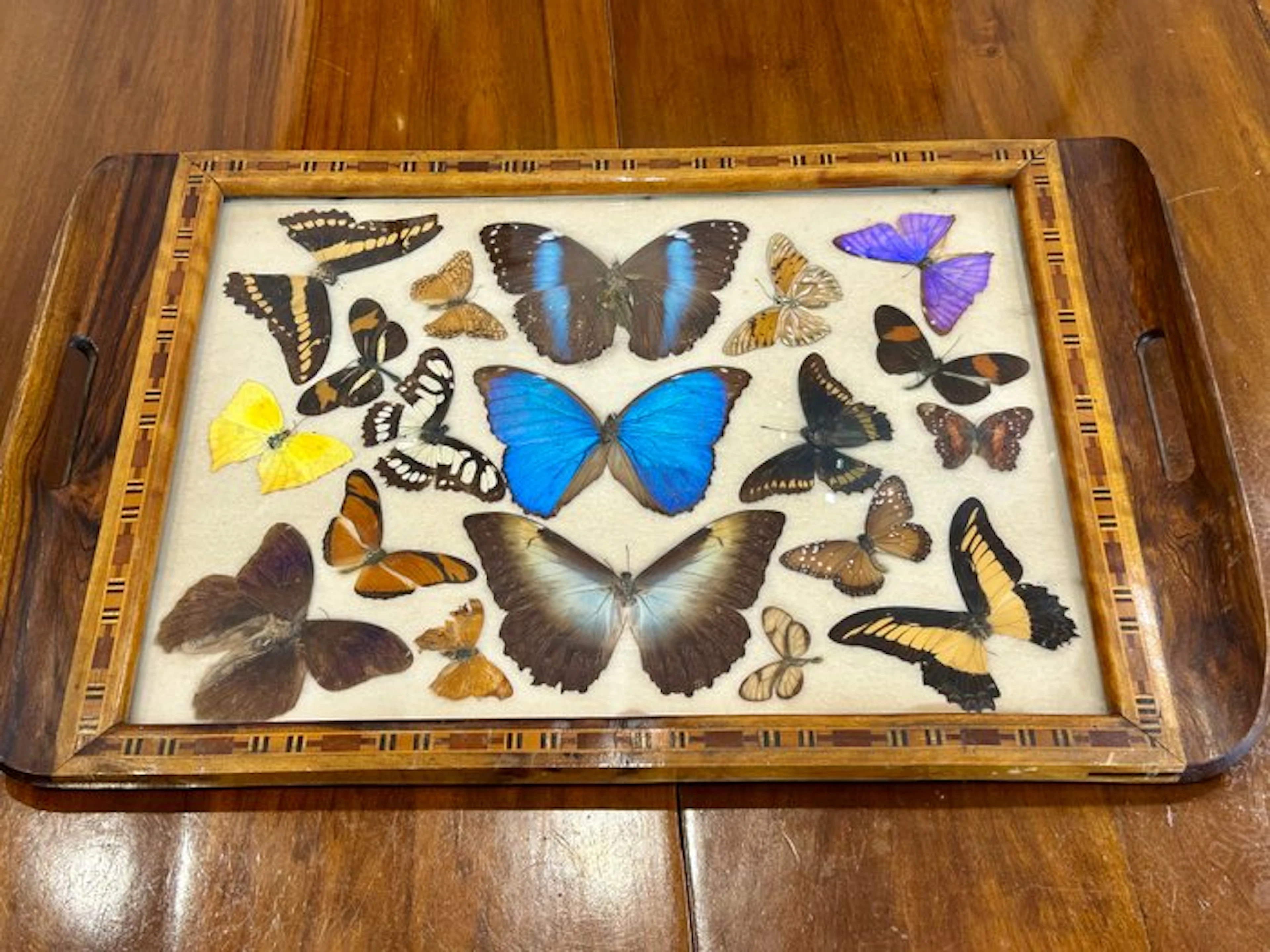 Tray - Ebony Tray