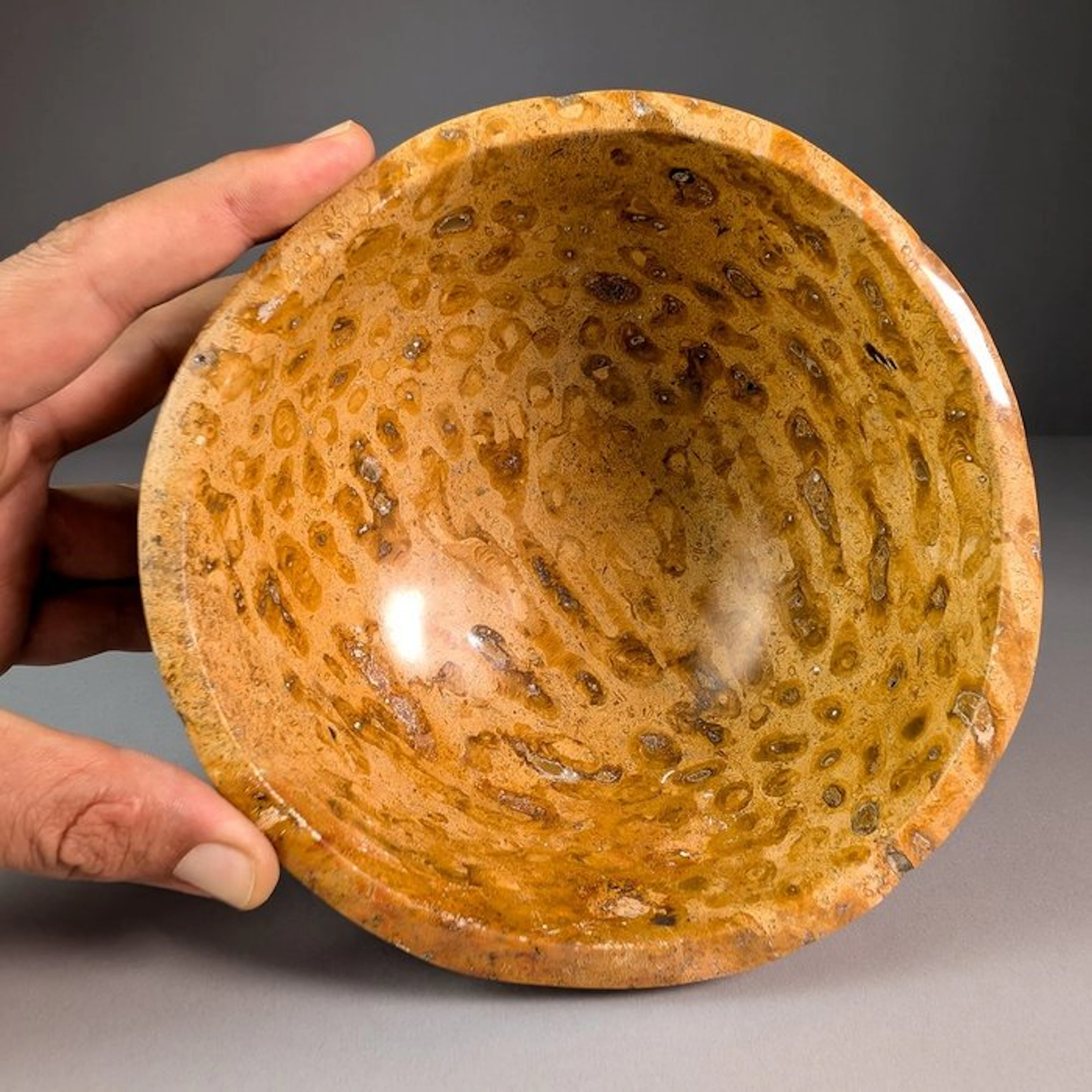 Fossil Coral Sphere - Height: 17.5 cm - Width: 17.7 cm- 2885 g