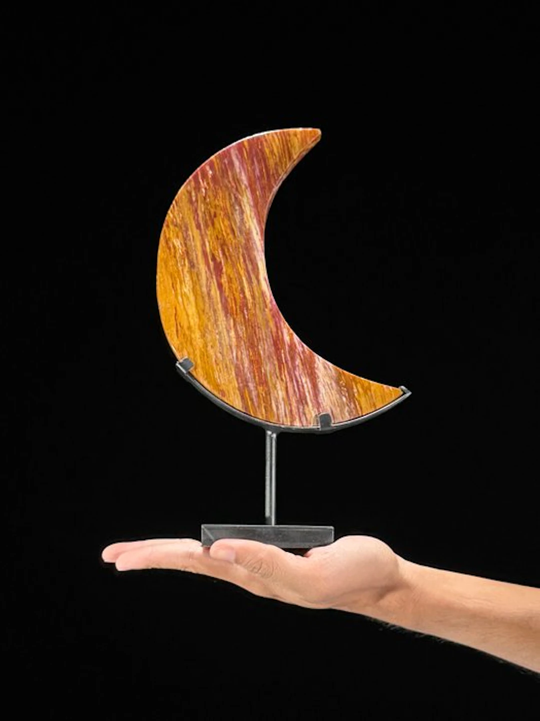 Stunning Petrified Wood Crescent Moon Shaped on a custom...