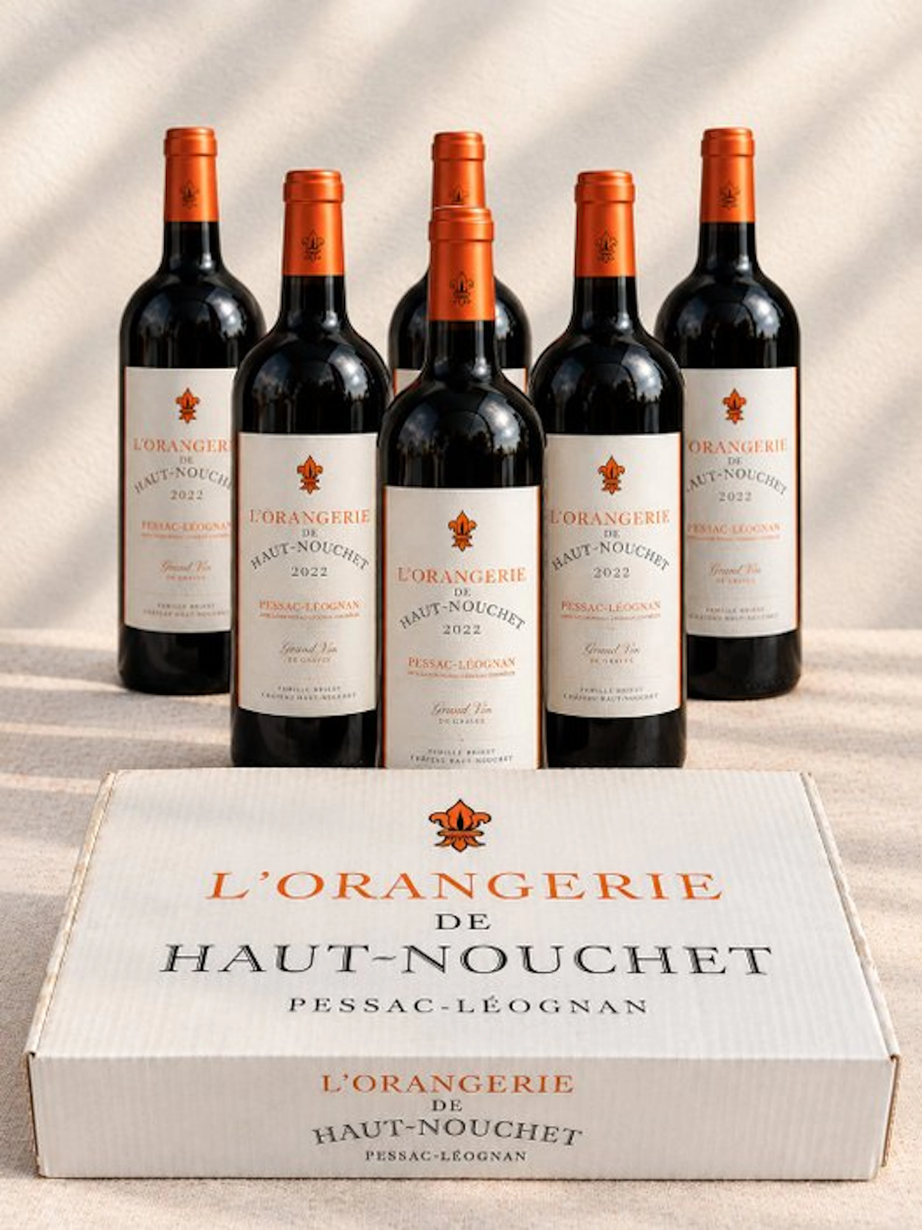 2022 Château Haut Nouchet - Pessac-Léognan - 6 Bottles (0.75L)