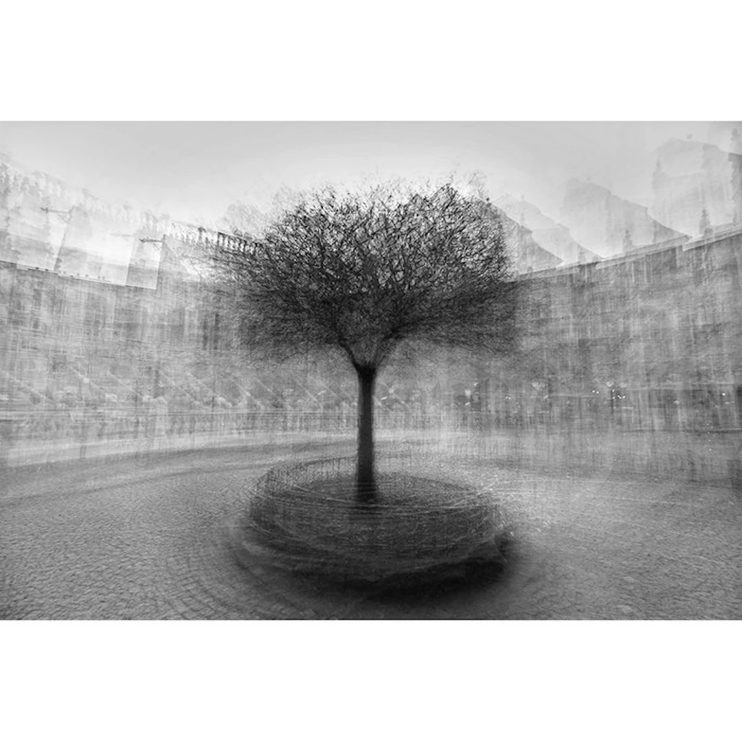 Frank Machalowski - stadtbaum#12