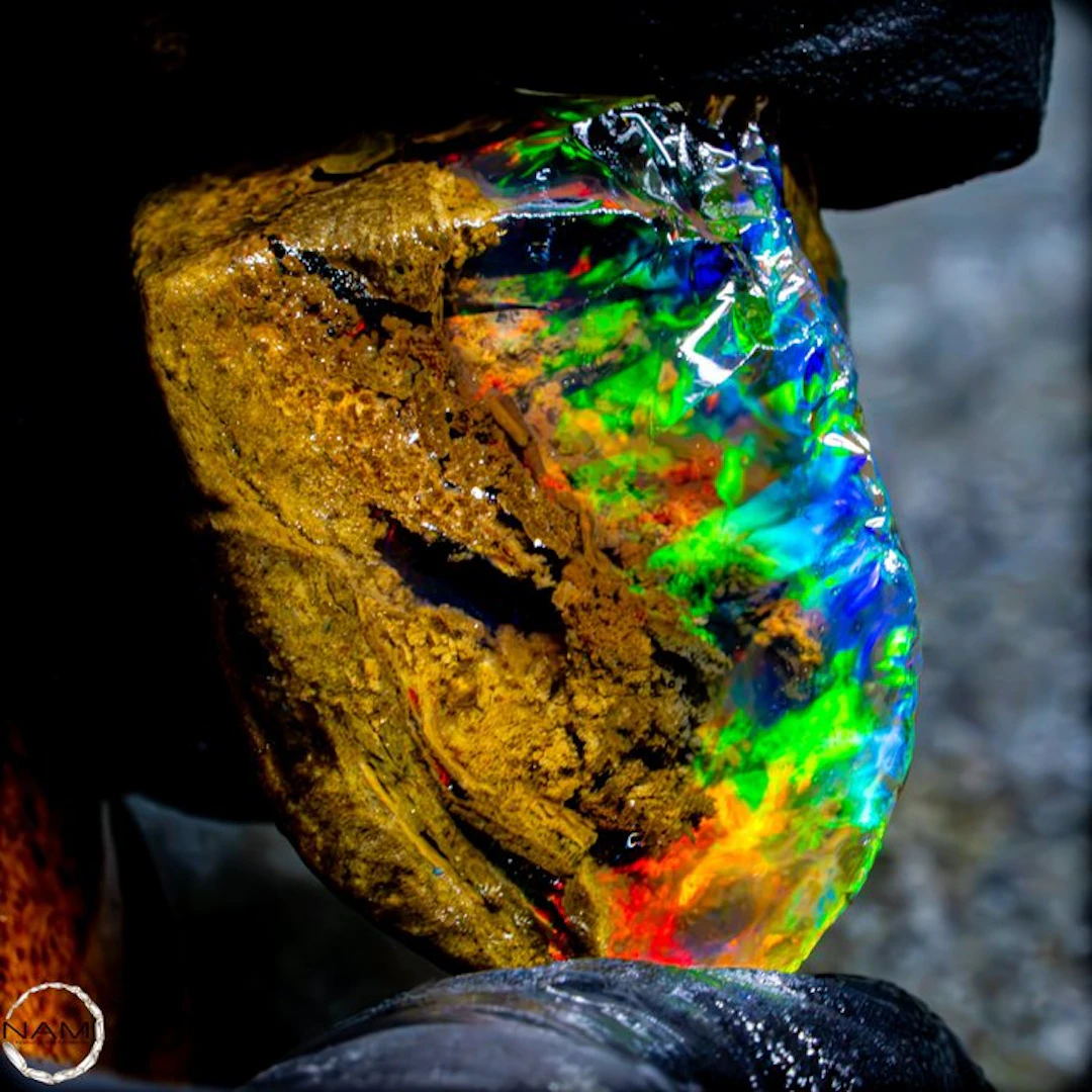Between Light and Earth – the Awakening of Hidden Colors...