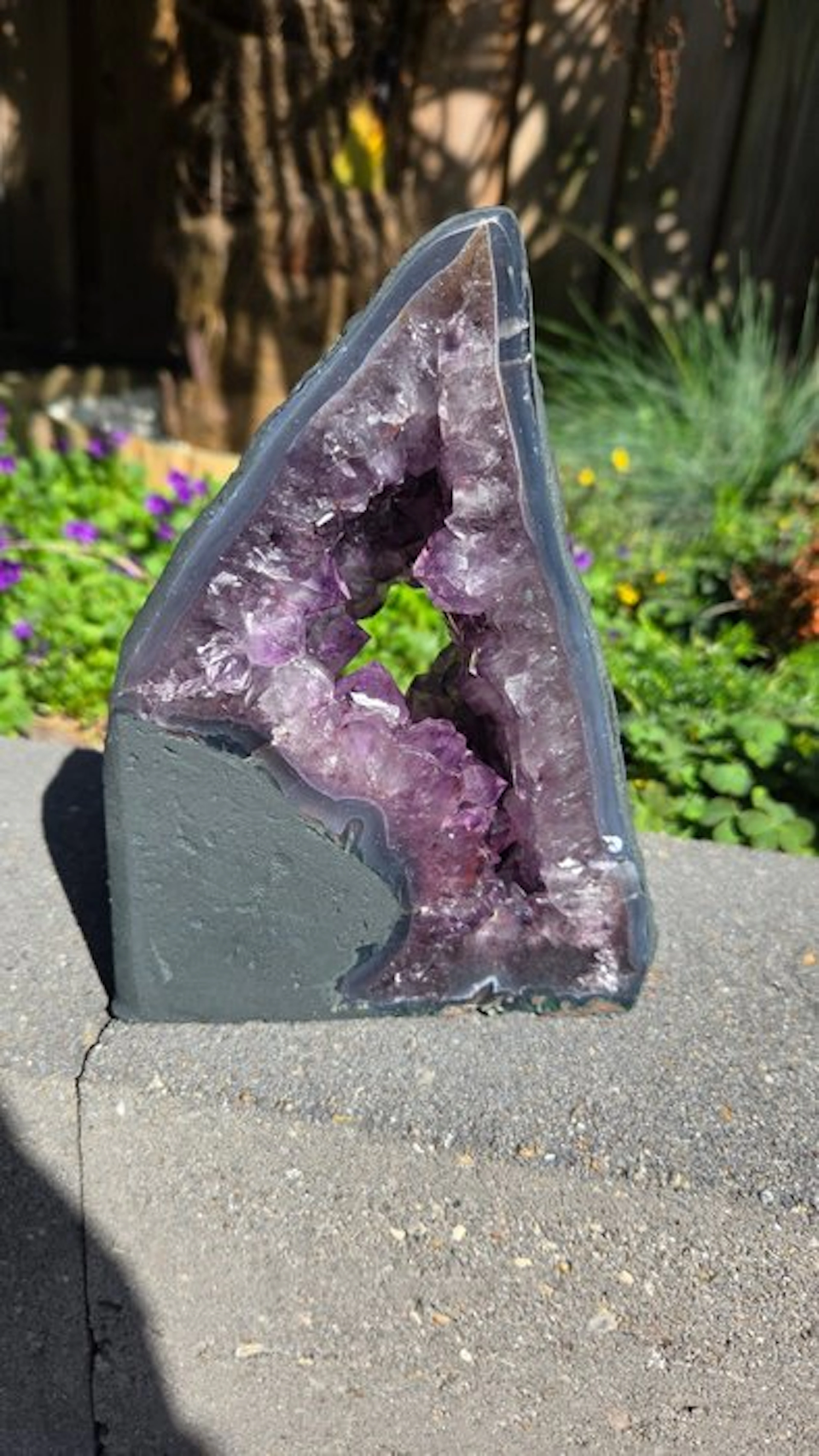 Amethyst Geode - Height: 17.5 cm - Width: 13 cm- 1.9 kg - (1)