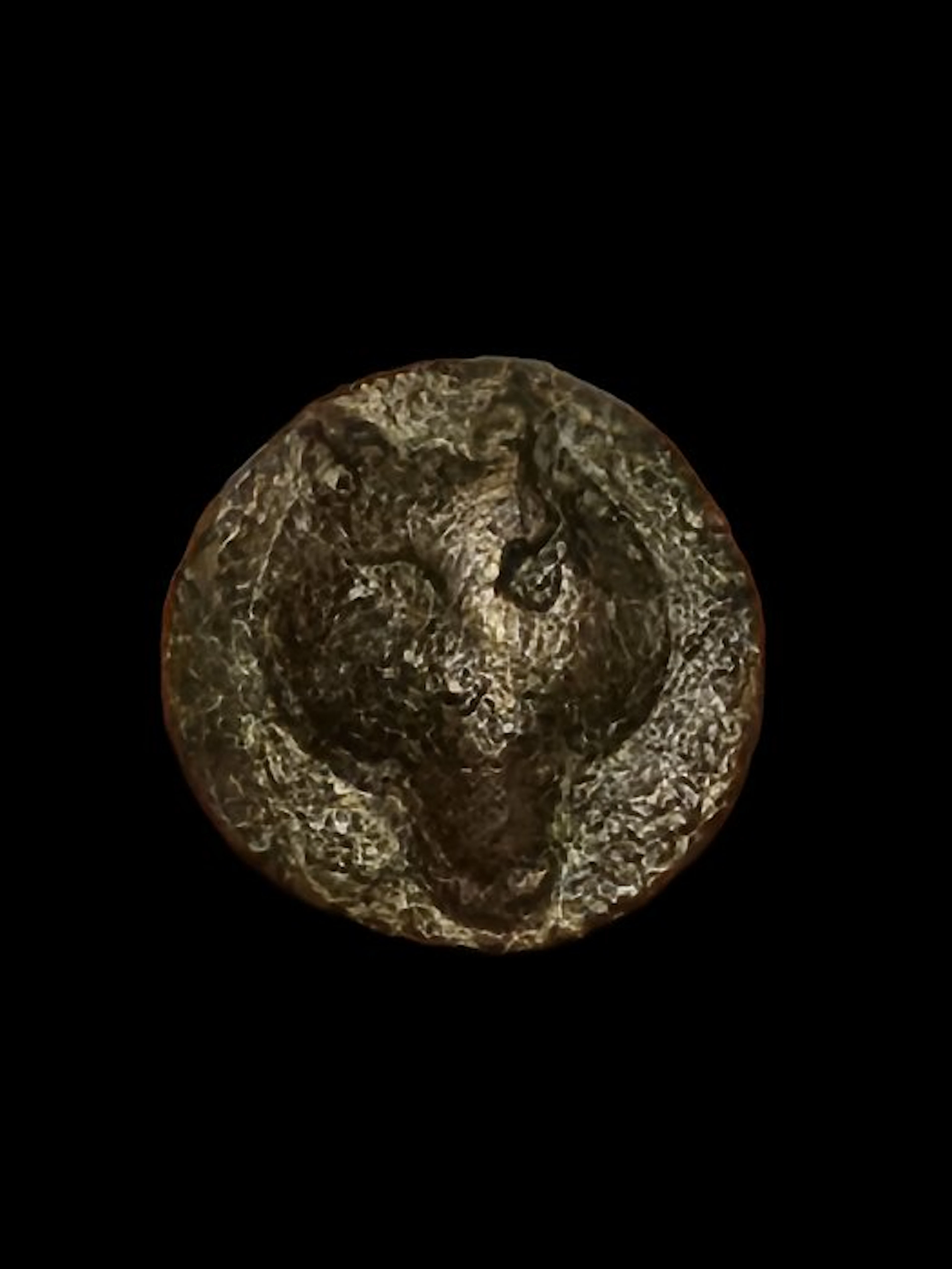 Ancient Roman Bronze amulet featuring a wolf's head. (No reserve price)