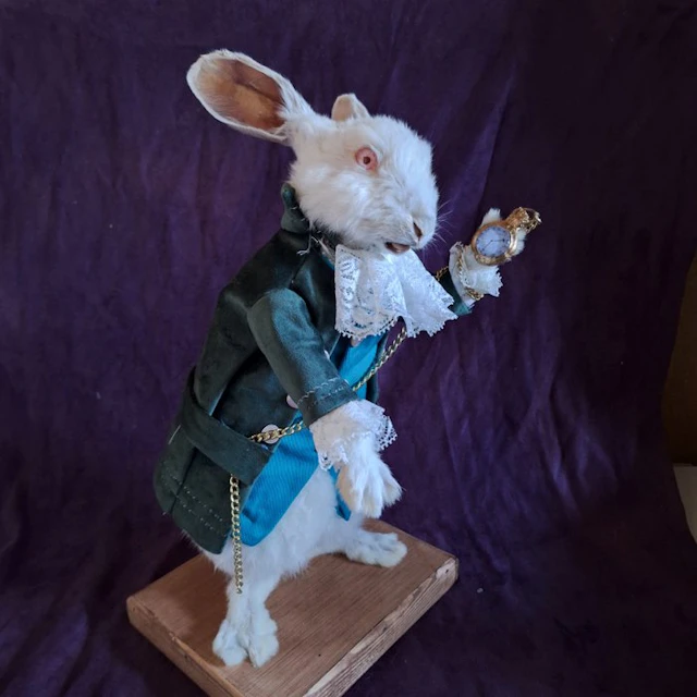 Rabbit Taxidermy full body mount - Oryctolagus cuniculus...