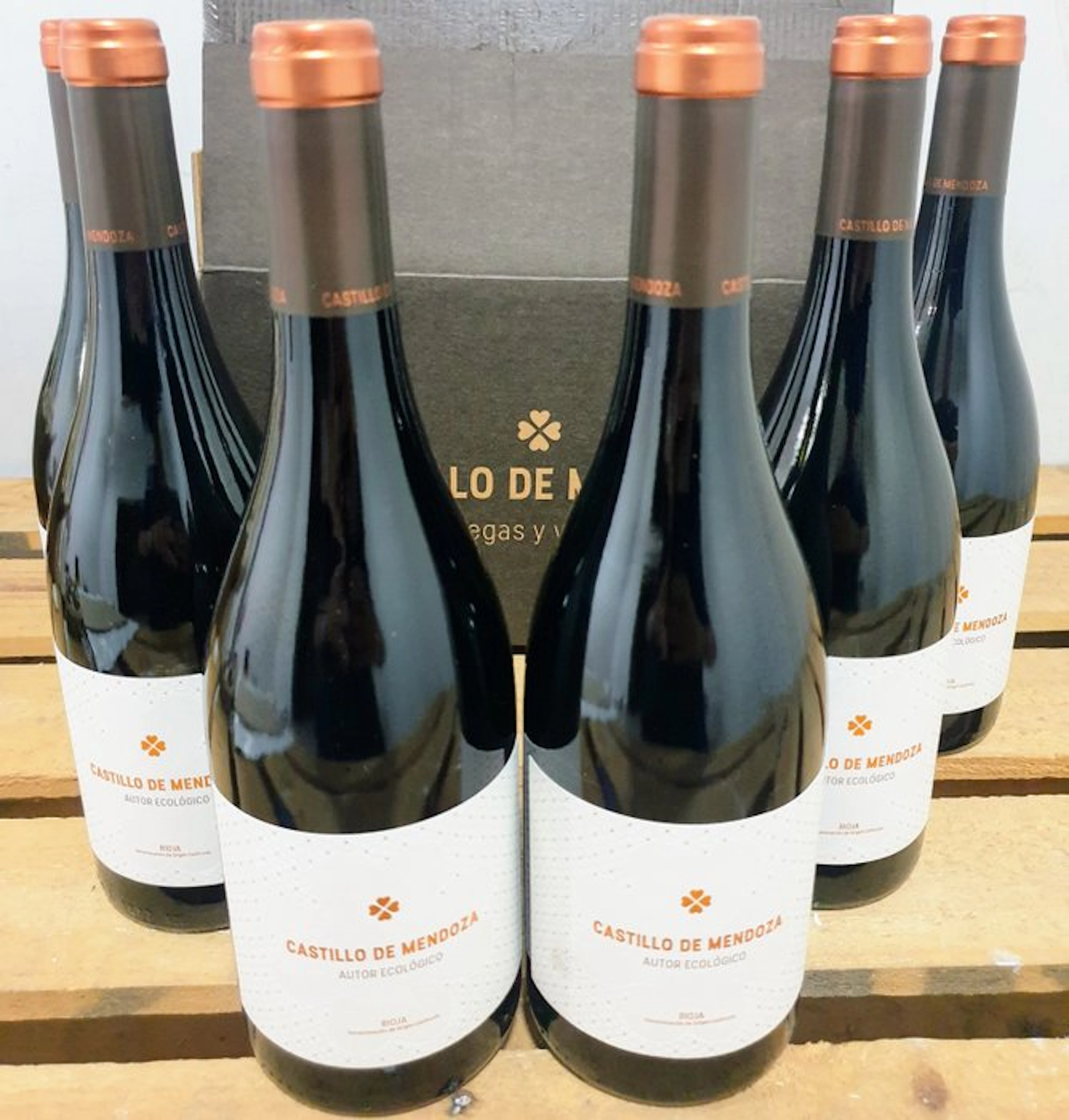 2021 Castillo de Mendoza, Autor Ecológico - Rioja DOCa - 6 Bottles (0.75L)