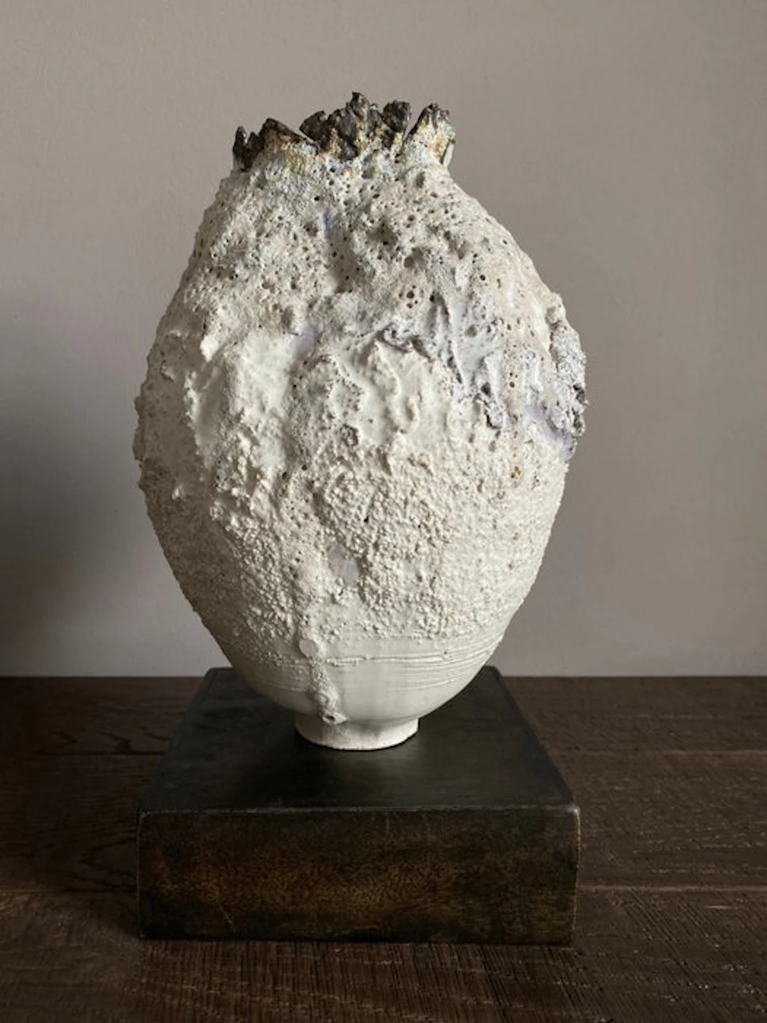 Max Modolo - Vase - Stoneware - Biomorphic Vase 1