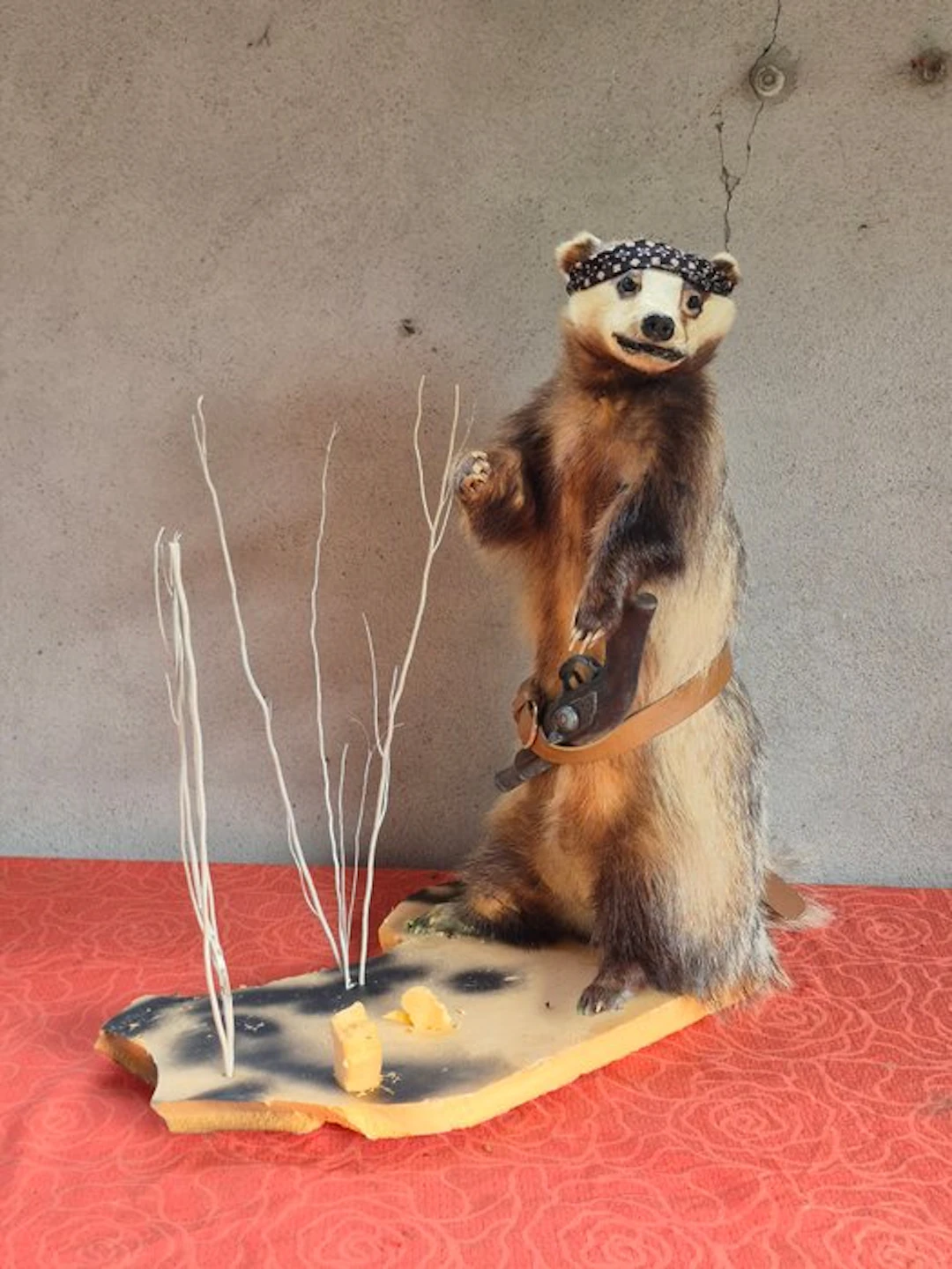 Badger Taxidermy wall mount - Meles meles - présenté en...