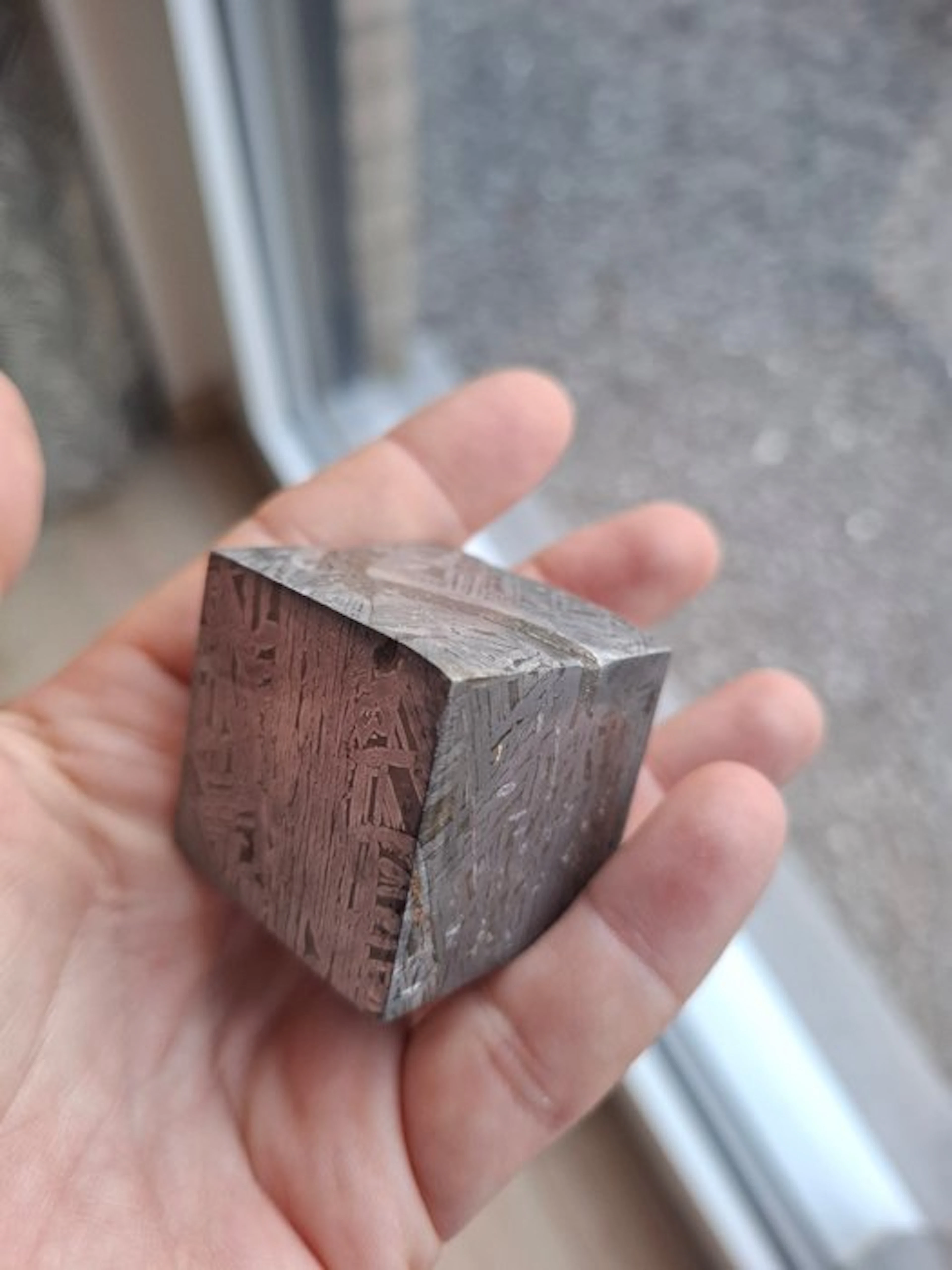 Aletai meteorite Slice - Height: 3.54 cm - 333 g - (1)