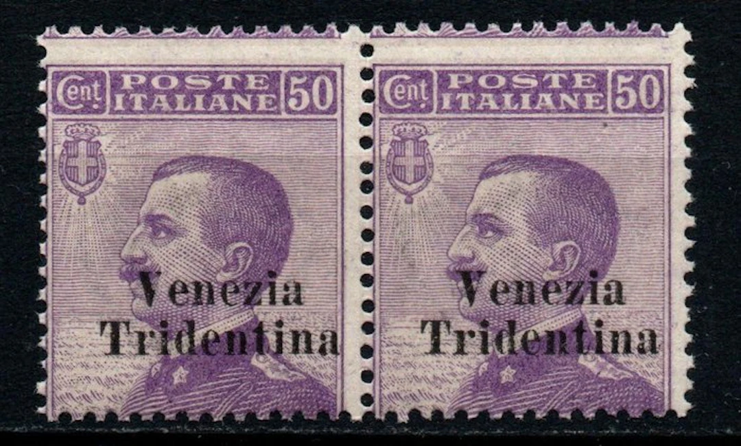 Italy - Trentino 1918 - Pair of 50-cent stamps overprinted Venezia Tridentina