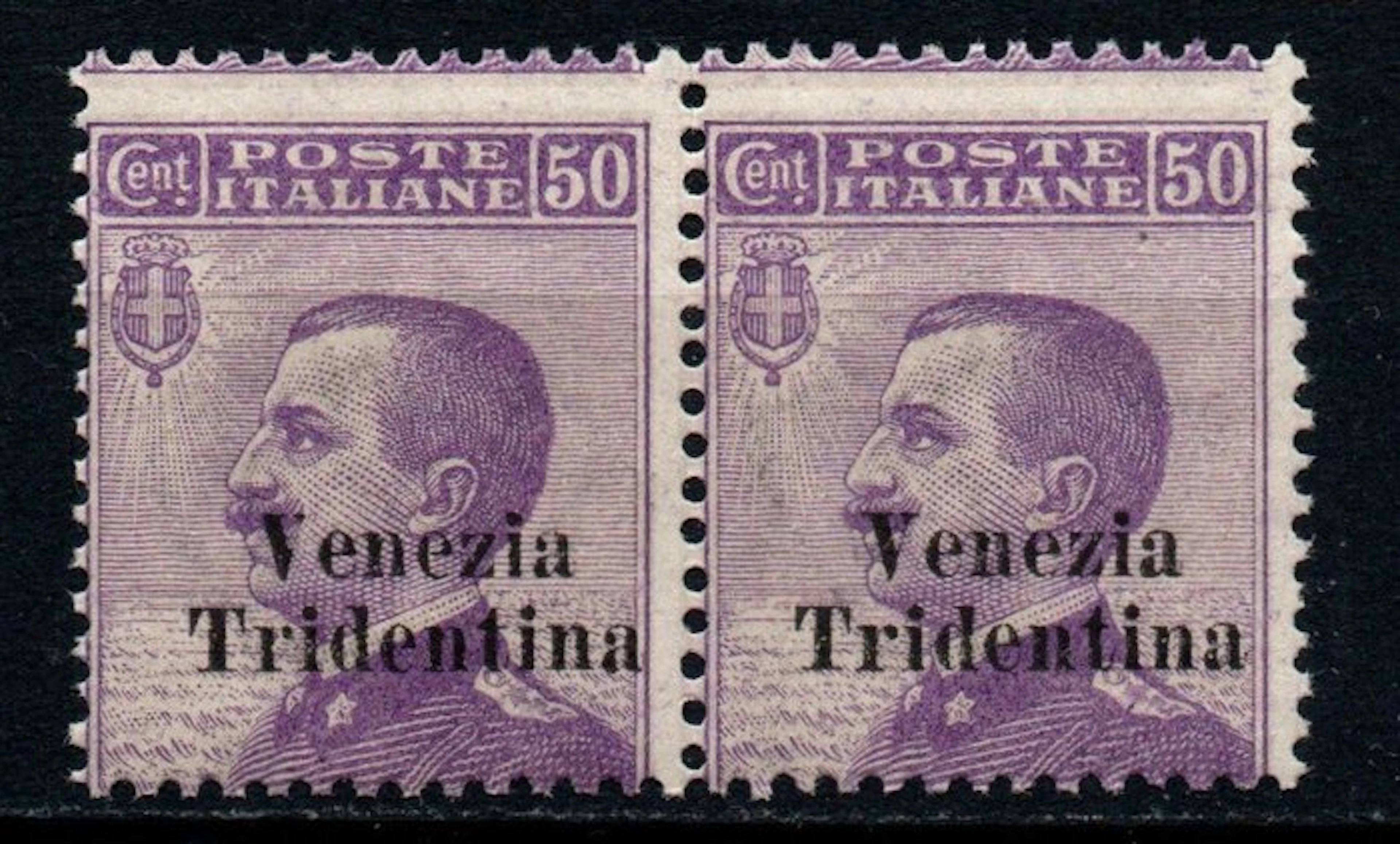 Italy - Trentino 1918 - Pair of 50-cent stamps overprinted Venezia Tridentina