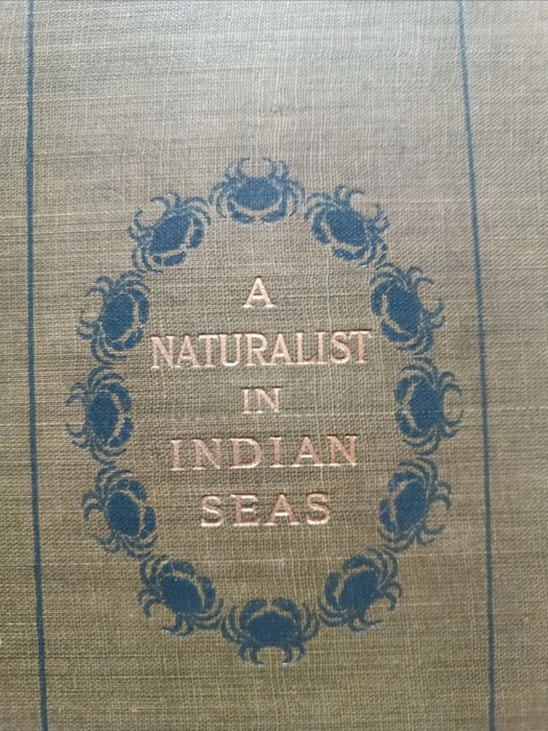 Alfred William Alcock - A Naturalist in Indian Seas - 1902