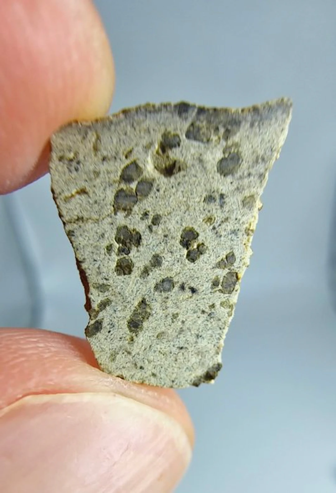 Martian Meteorite, Tarkint 001. (Olivine-phyric shergottite). - 0.54 g