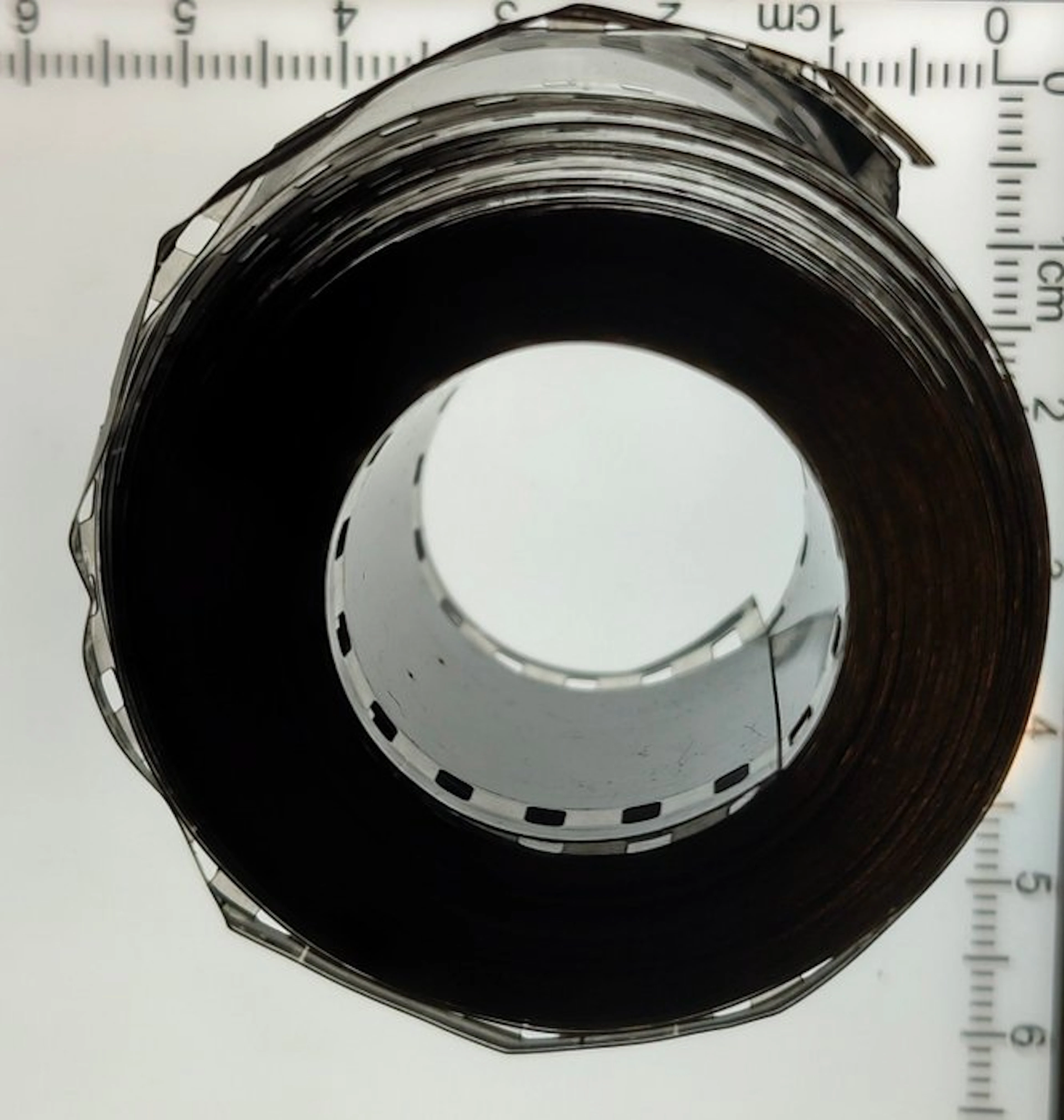 Kodak Originele 35mm historische nieuwsfilm – Zwemmers en zeehond – België – ca