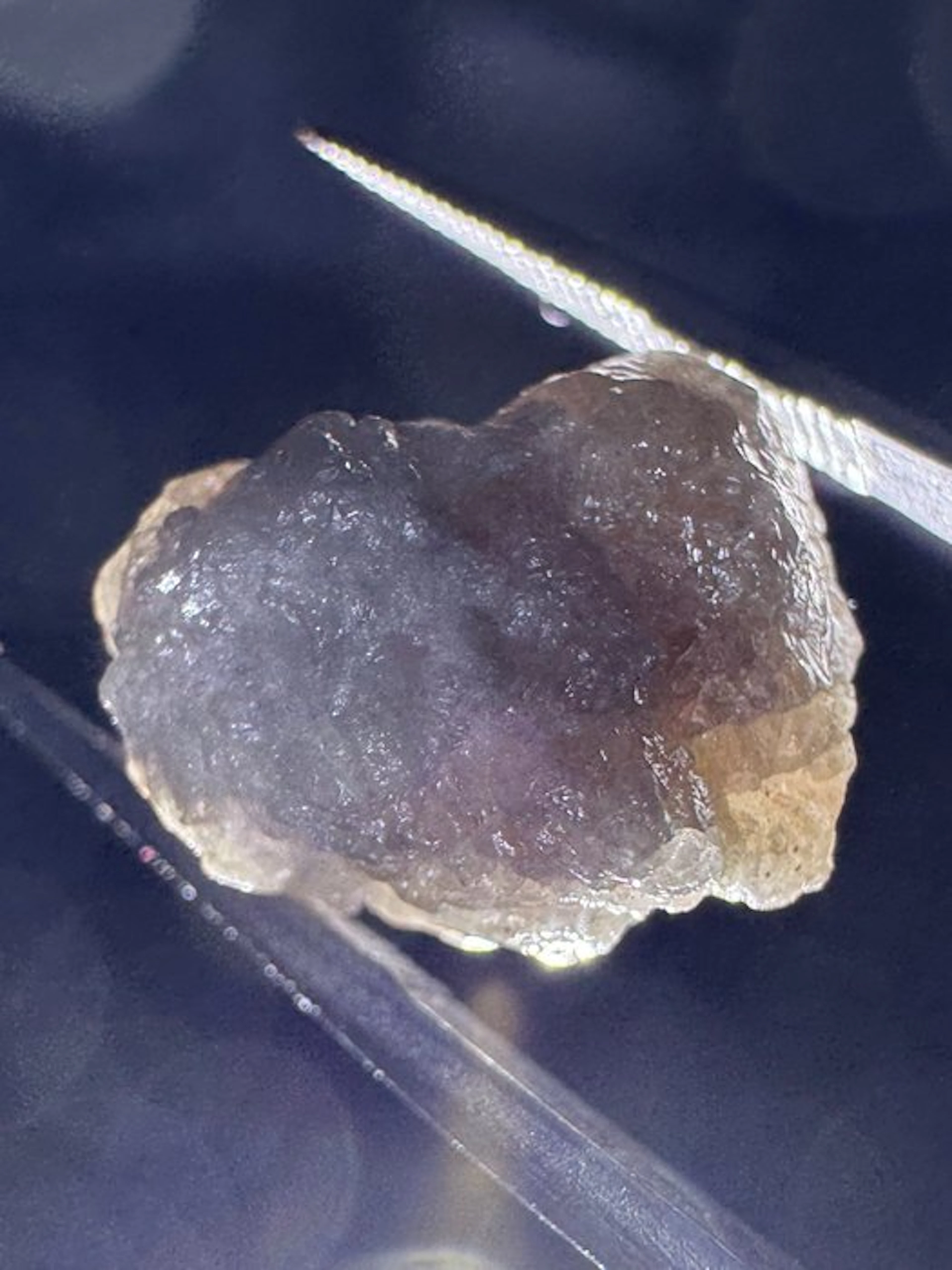 Natural rough diamond, light gray. 7.62 ct Rough- 1.52 g