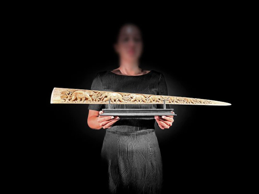 NO RESERVE PRICE - Stunning Large carved Swordfish Tusk...
