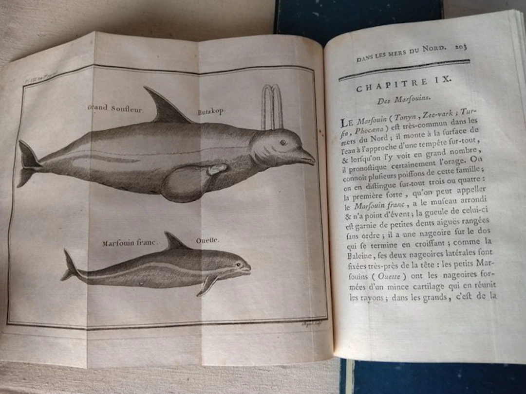 C. Bernard de Reste - Histoire des pêches