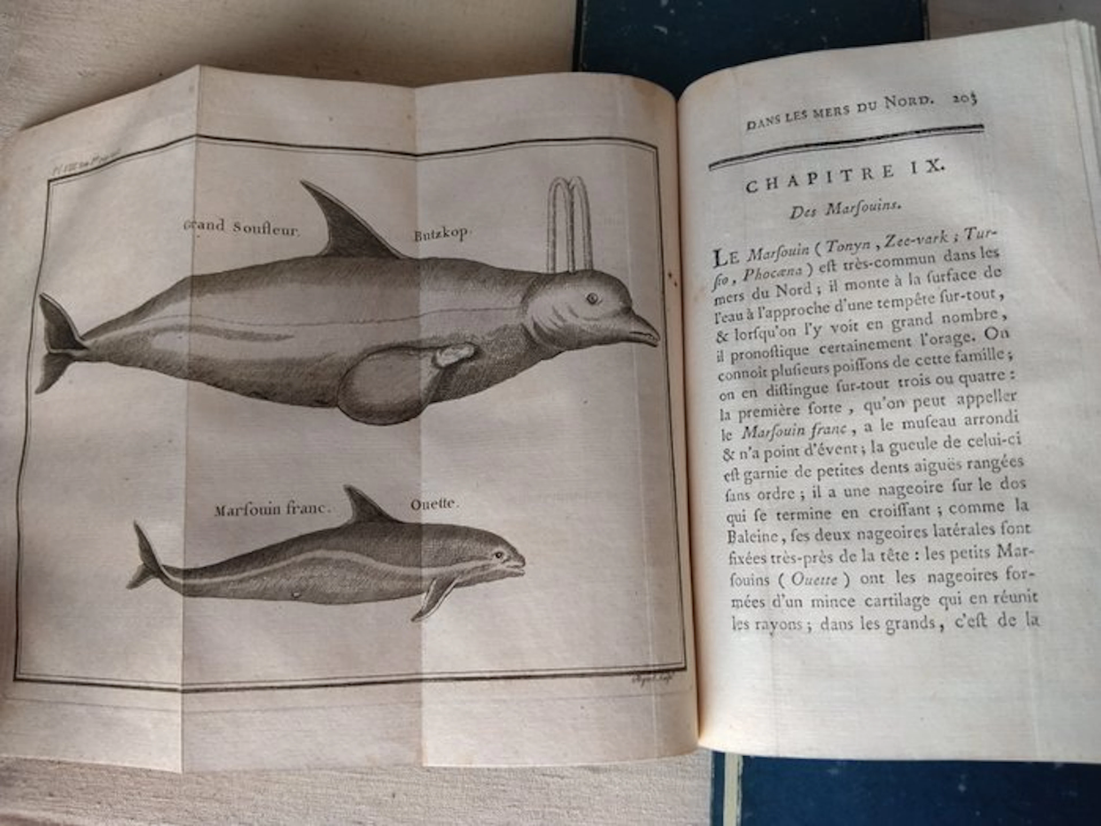 C. Bernard de Reste - Histoire des pêches