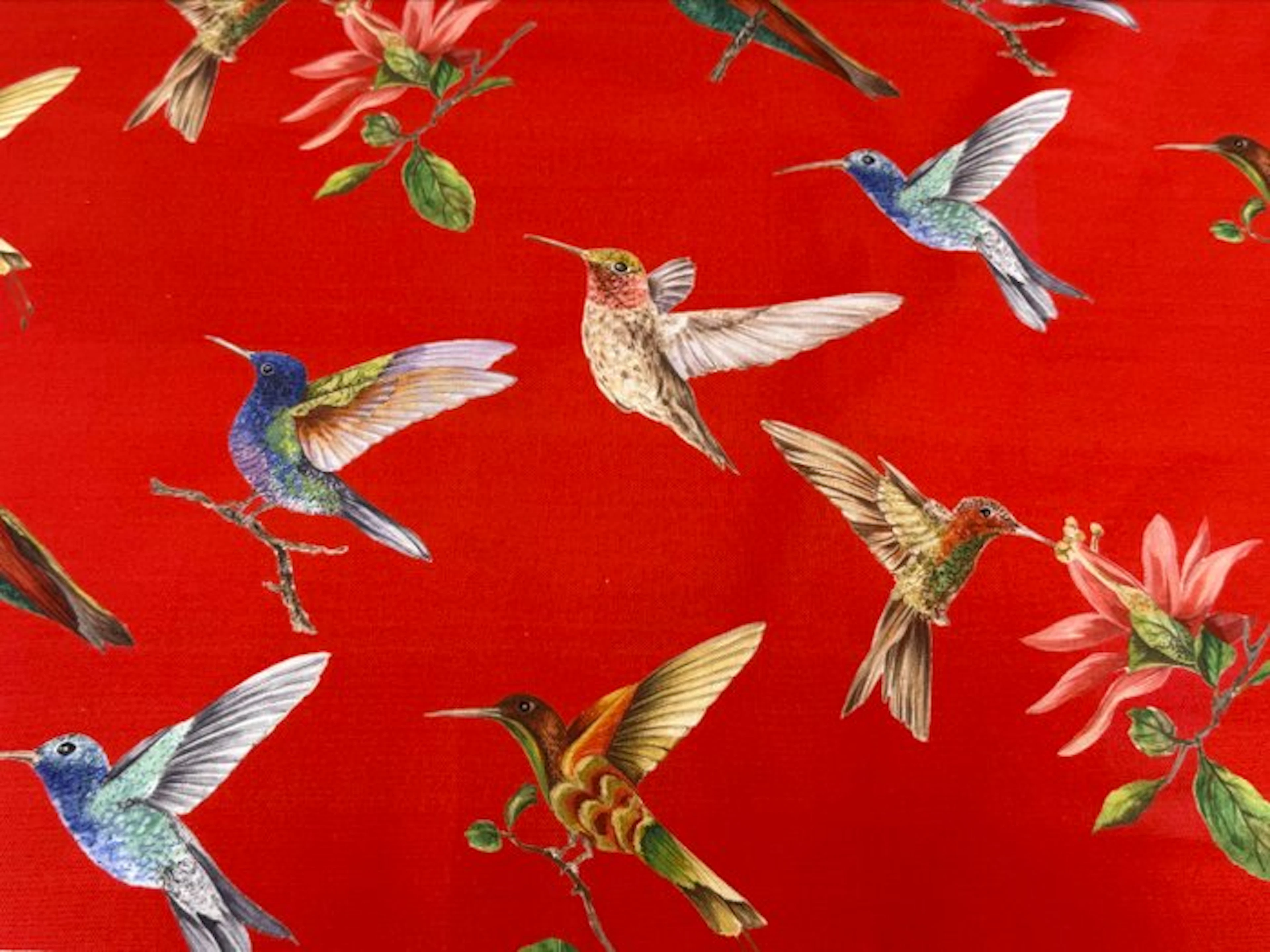Hummingbird Dance on Imperial Red - Upholstery fabric - 3 m - 2.8 m