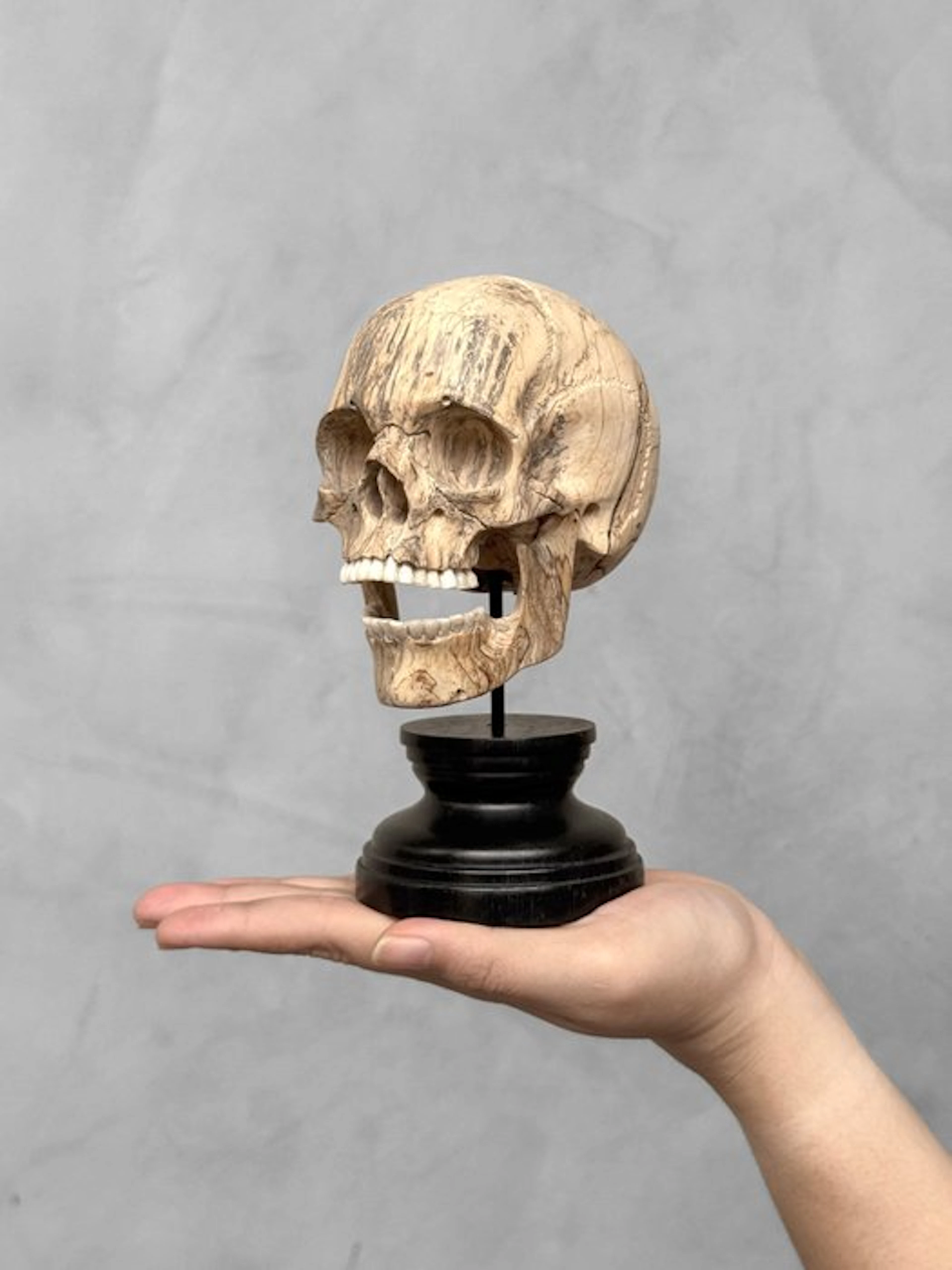 Carving, NO RESERVE PRICE - Stunning Wooden Human Skull...