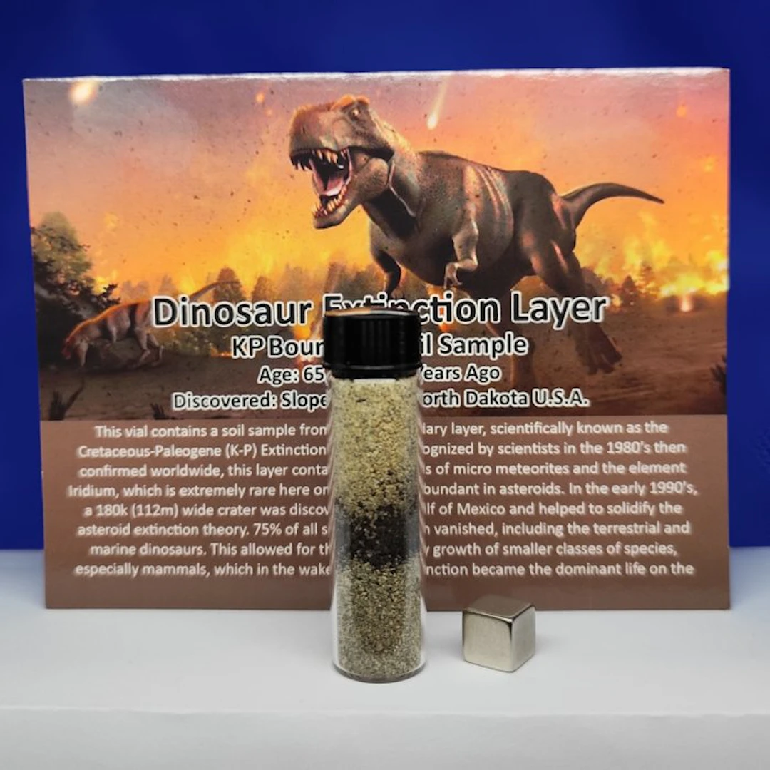 K-T Boundary (K-Pg). EXTINCTION of the DINOSAURS (65 million years). - 20 g