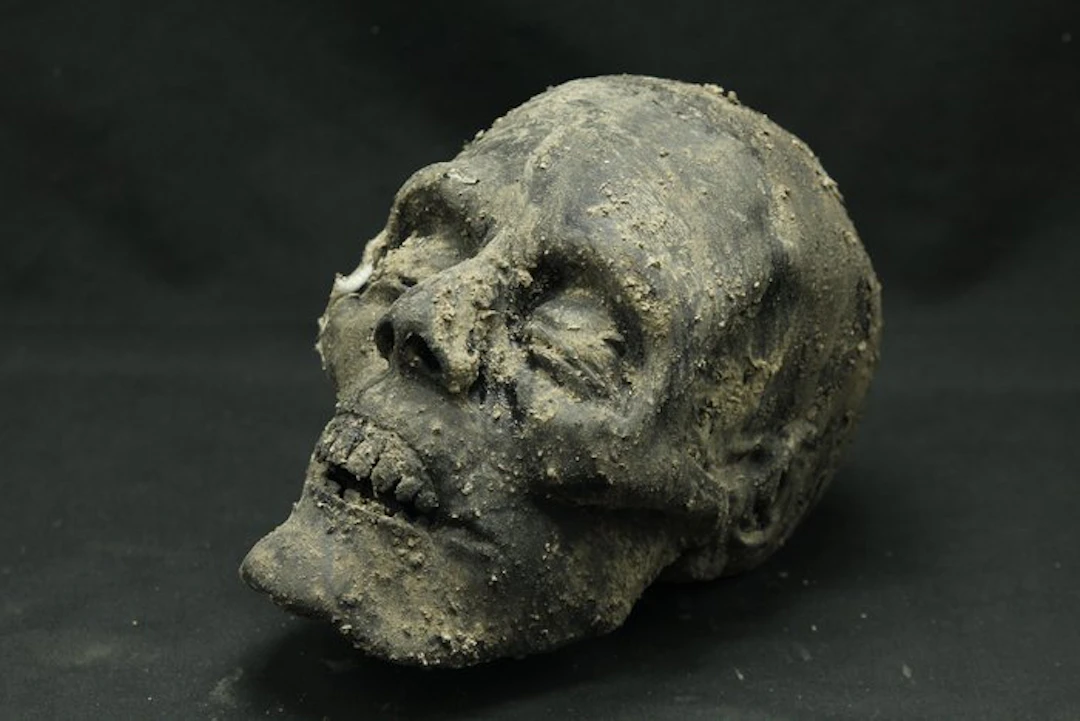 Replica Mummified Head - Life-sized - Mummy - Mummificus...