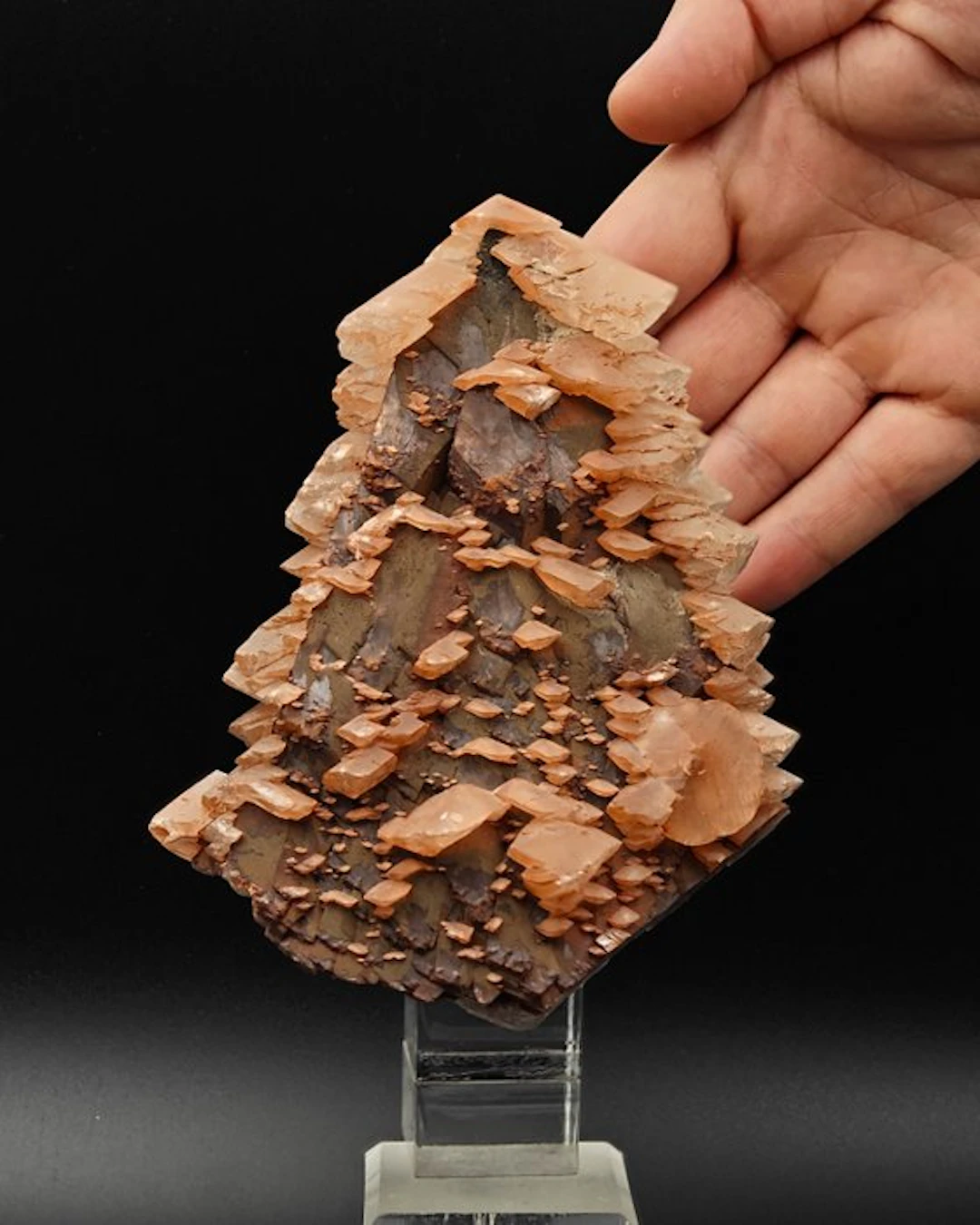 Calcite tree with red hematite