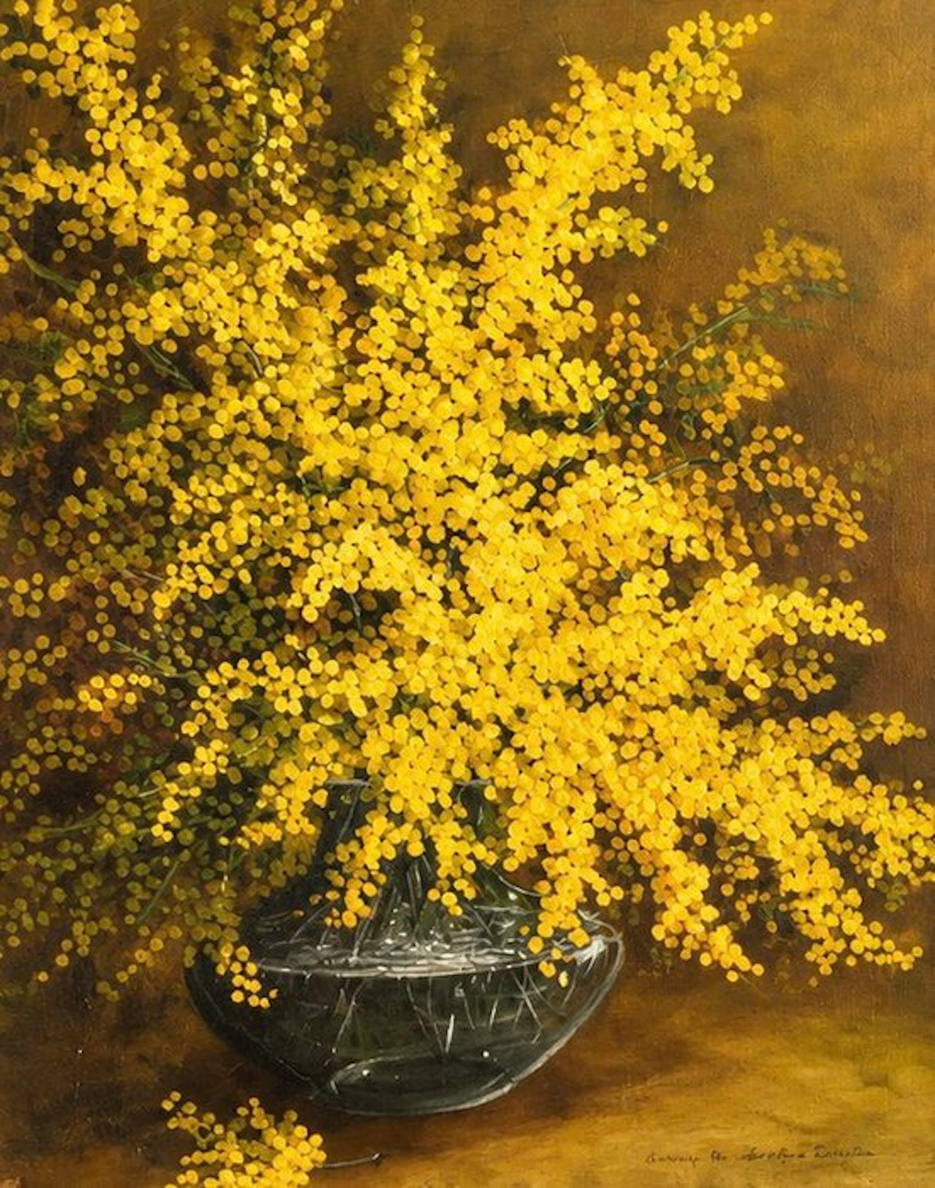 Serafino Zanella (1932) - La mimosa a Cannes