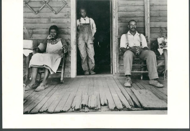Dorothea Lange (1895–1965) - Negroes who own land in Greene County