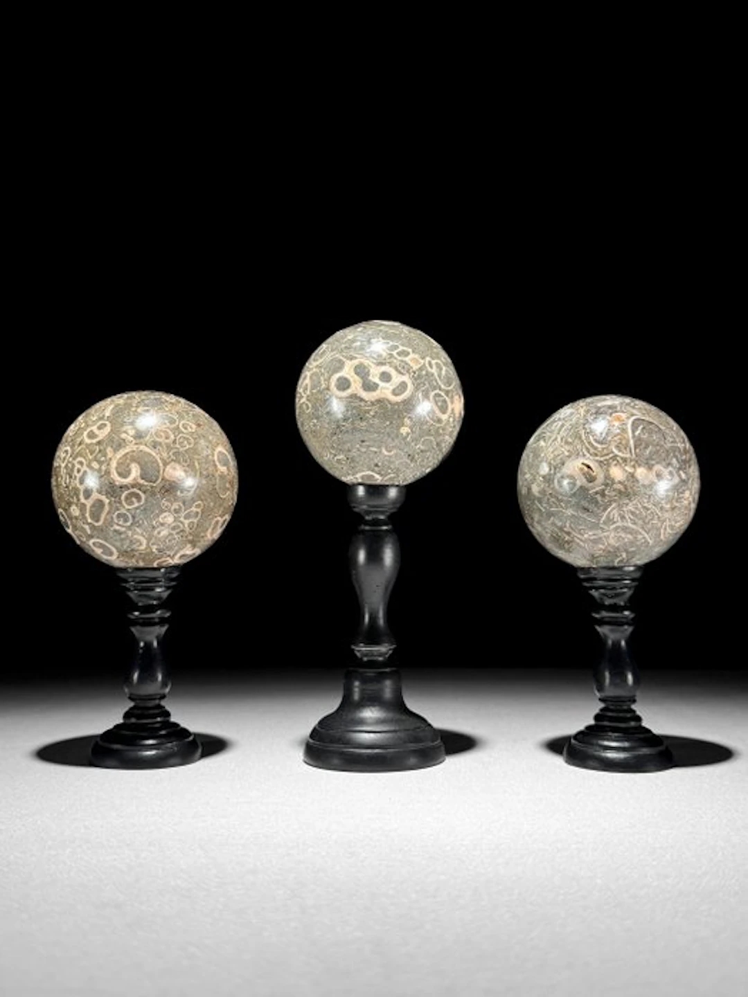 Wonderful set of 3 Turritella- Spheres on custom stands...
