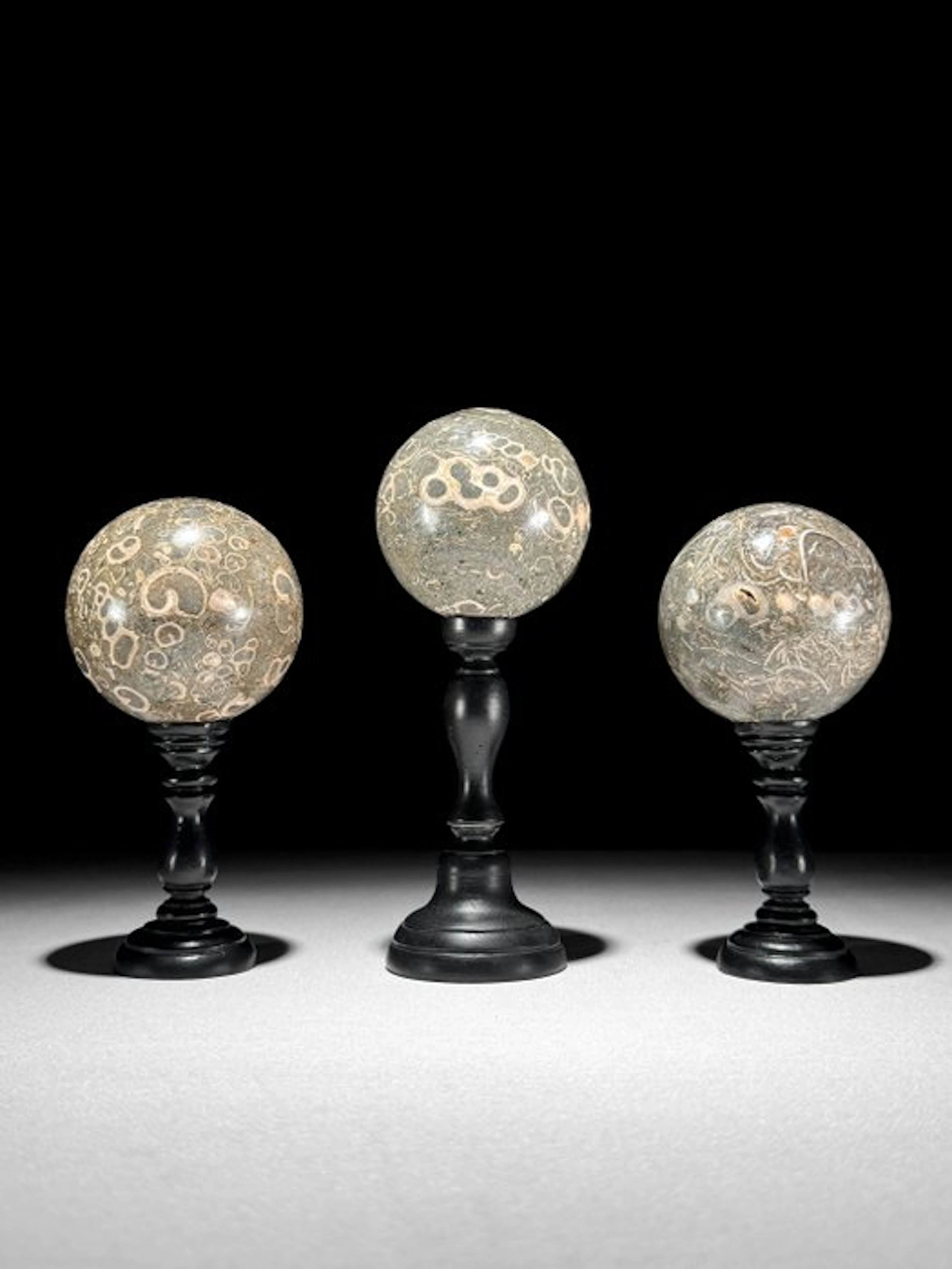 Wonderful set of 3 Turritella- Spheres on custom stands...
