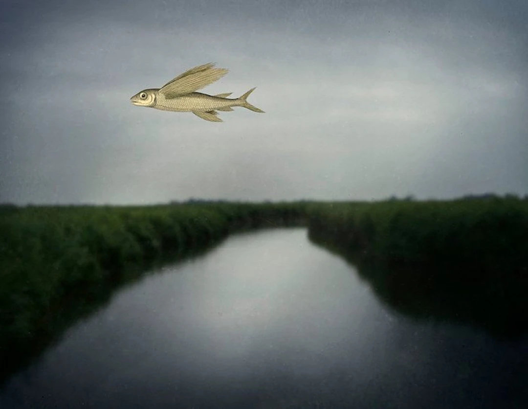Tessa Posthuma de Boer - Nobody was here