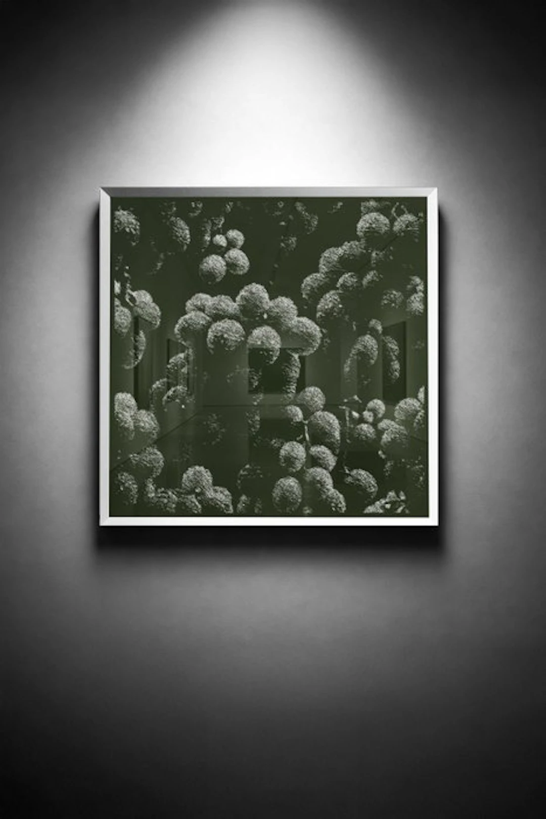 Tijs Dragtsma (1992) - A Cluster Ignites the Grove