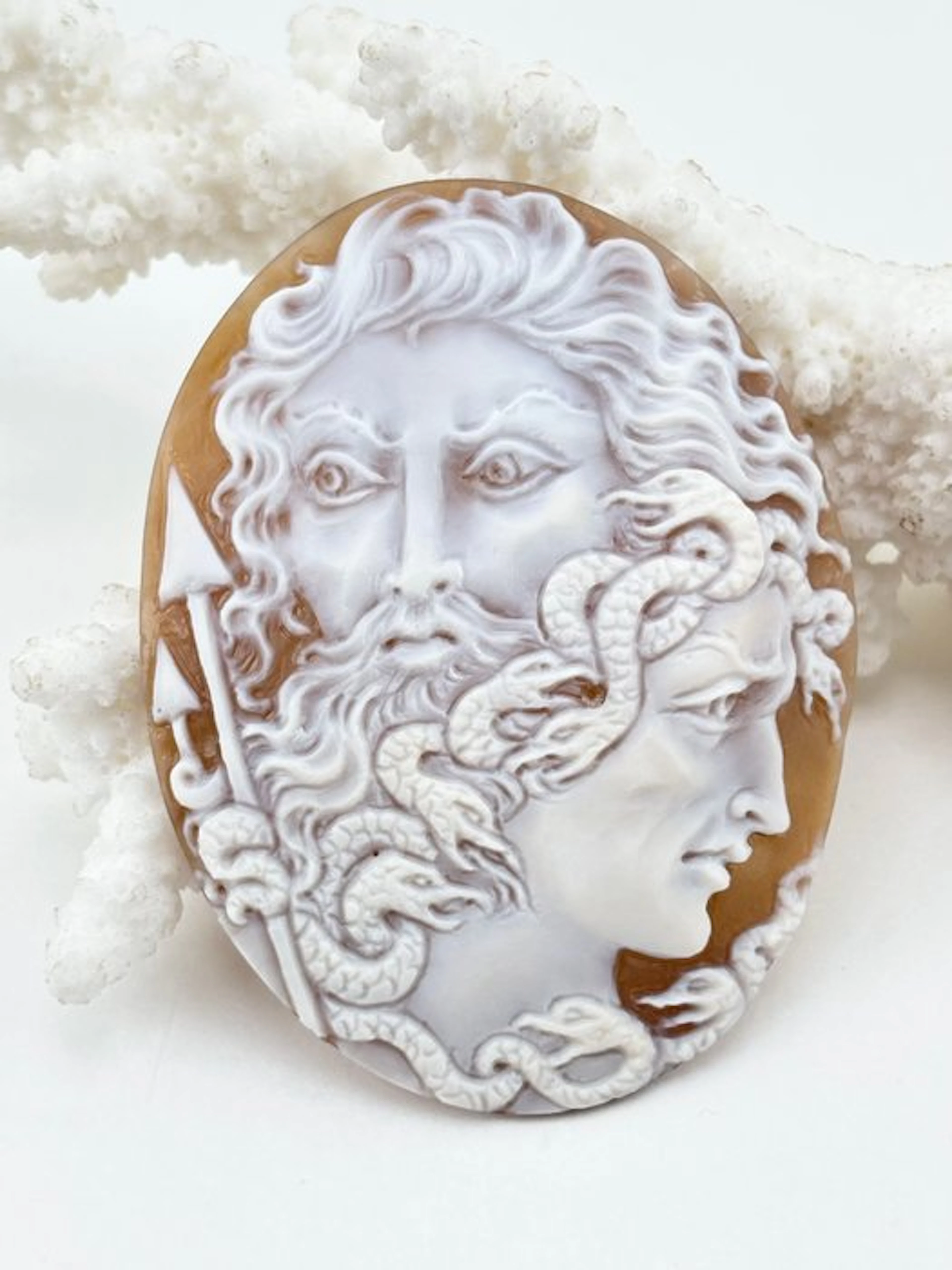 Cassis madagascariensis Cameo - Hand-carved cameo