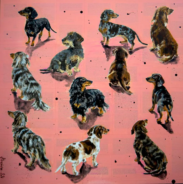 Bazévian DelaCapucinière - Portrait Dachshund - Teckel...
