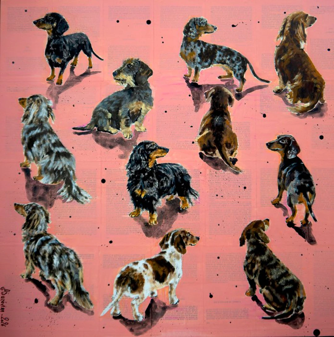 Bazévian DelaCapucinière - Portrait Dachshund - Teckel...
