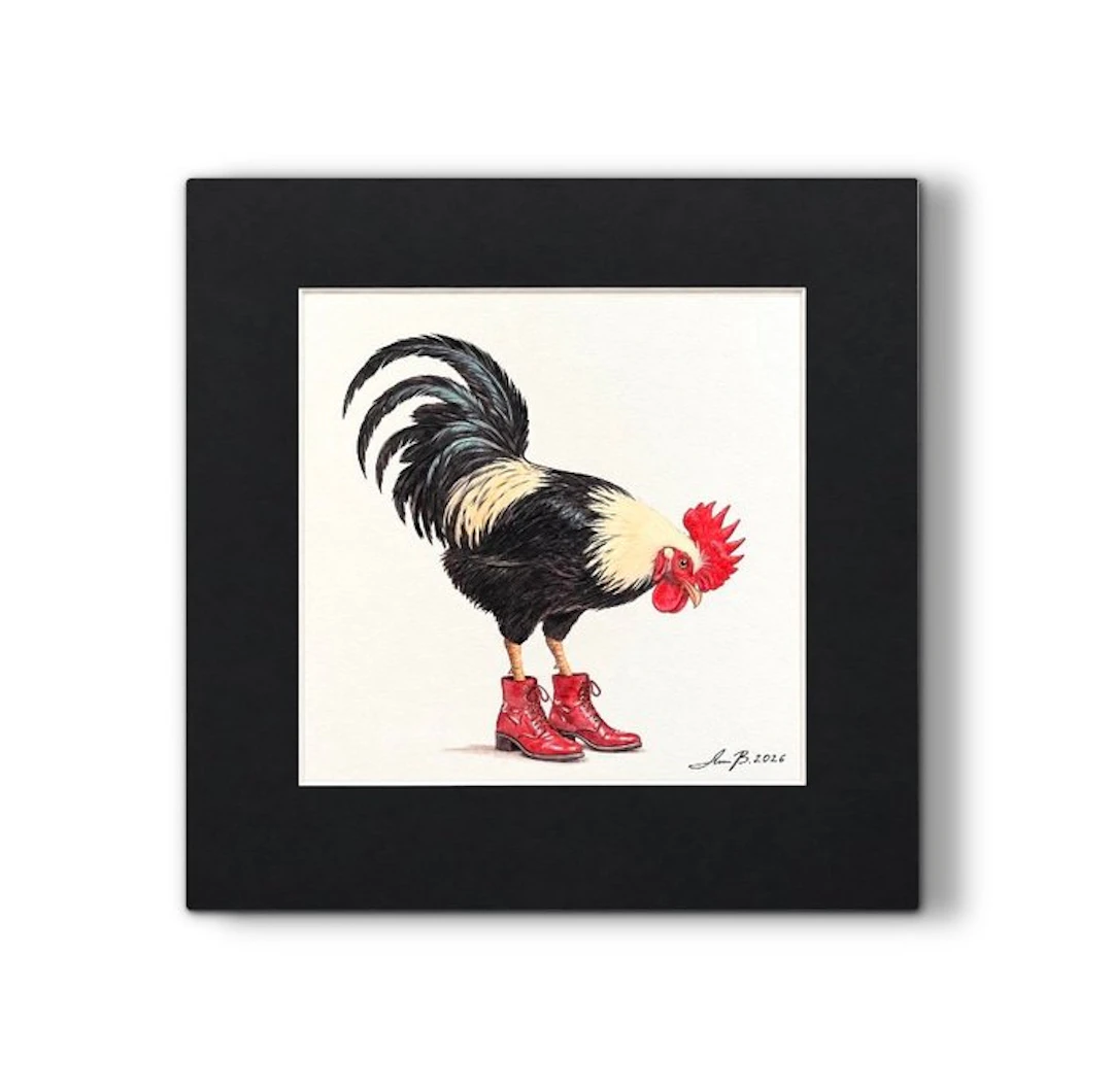 AniB. - ROOSTER Ready to Go