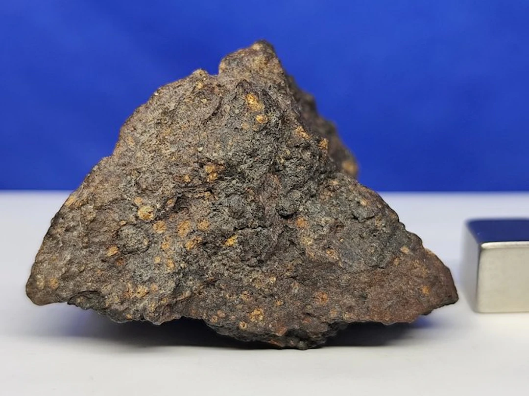 XL RARE METEORITE CR2 -Carbonaceous Chondrite- ERG CHECH 003 (Algeria