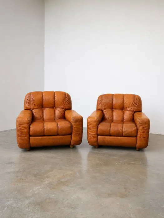 Armchair (2) - Leather - Mid-Century Modern