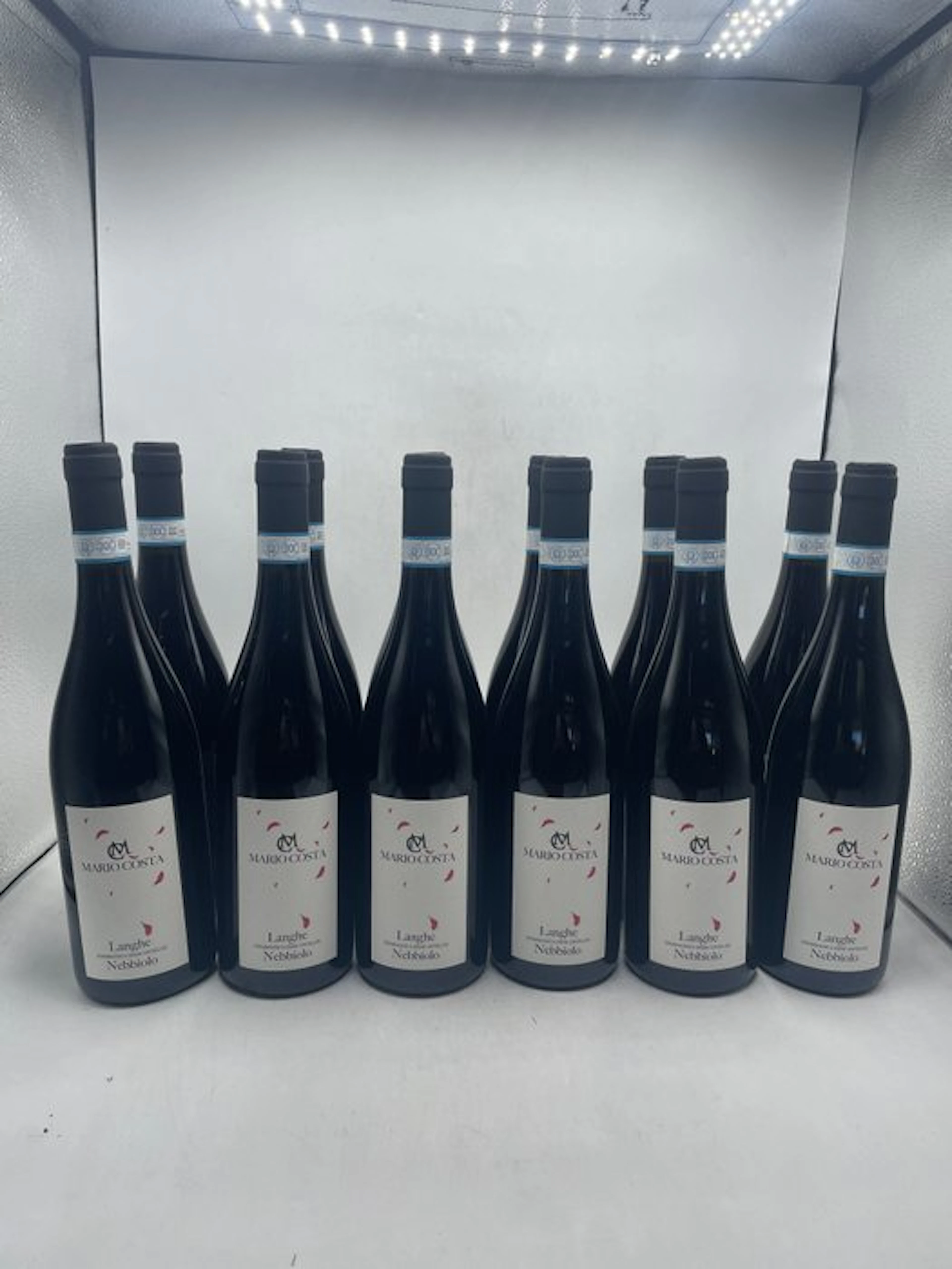 2024 Mario Costa Langhe Nebbiolo - Piedmont - 12 Bottles (0.75L)