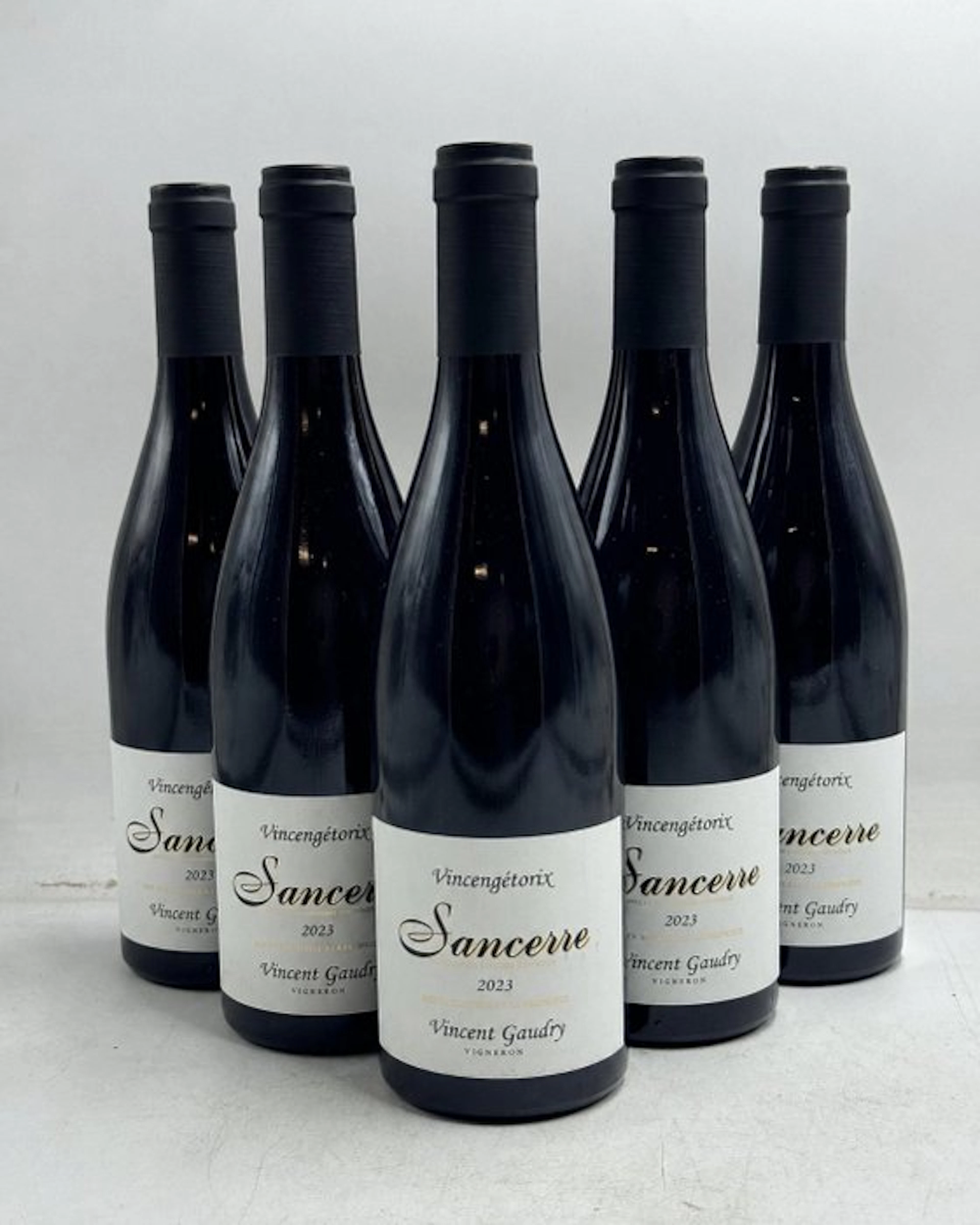 2023 Vincent Gaudry, Vincengetorix - Sancerre - 6 Bottles (0.75L)