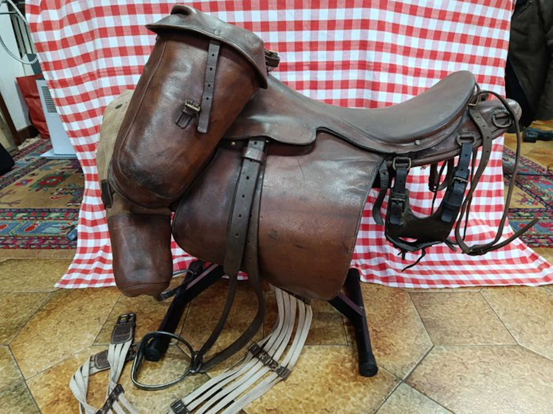 Saddles and officer equipment - Regulation model...