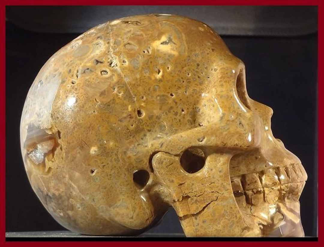 Agate Skull - Height: 10 cm - Width: 8.5 cm- 1290 g - (1)