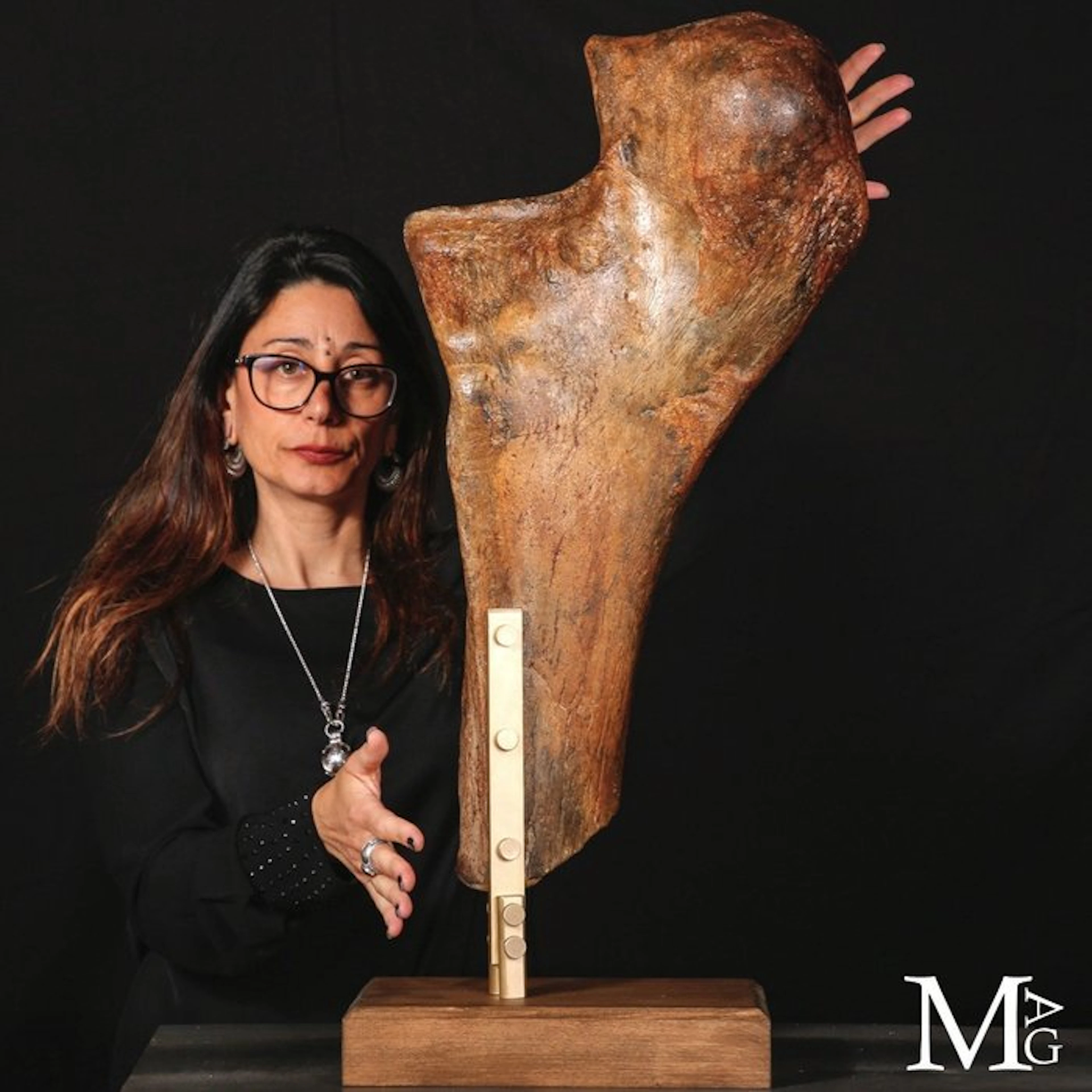Rare and Exceptionally Preserved Pleistocene Mammoth...