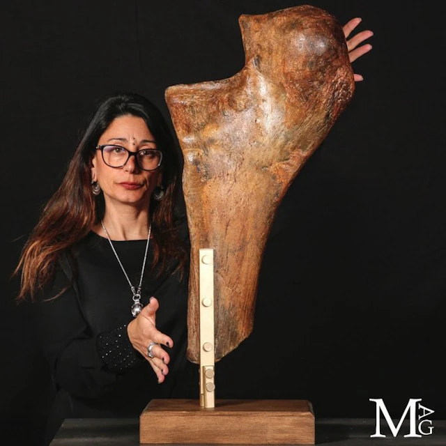 Rare and Exceptionally Preserved Pleistocene Mammoth...