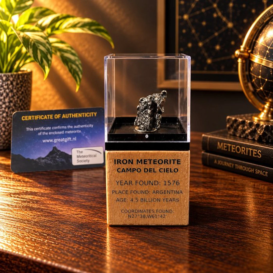 Magnificent Campo Del Cielo iron meteorite - On a...