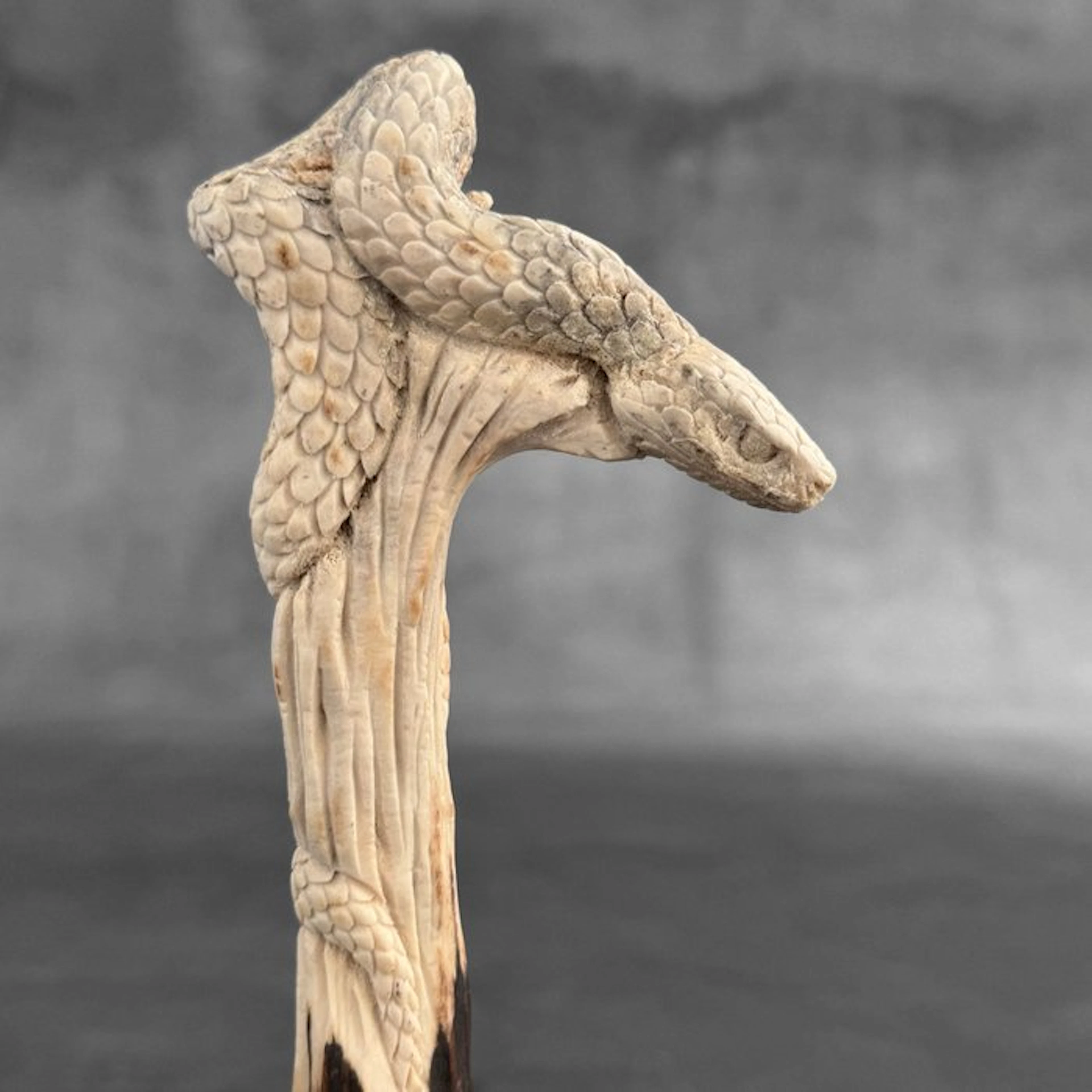 Carving, NO RESERVE PRICE - A Snake carving from deer...