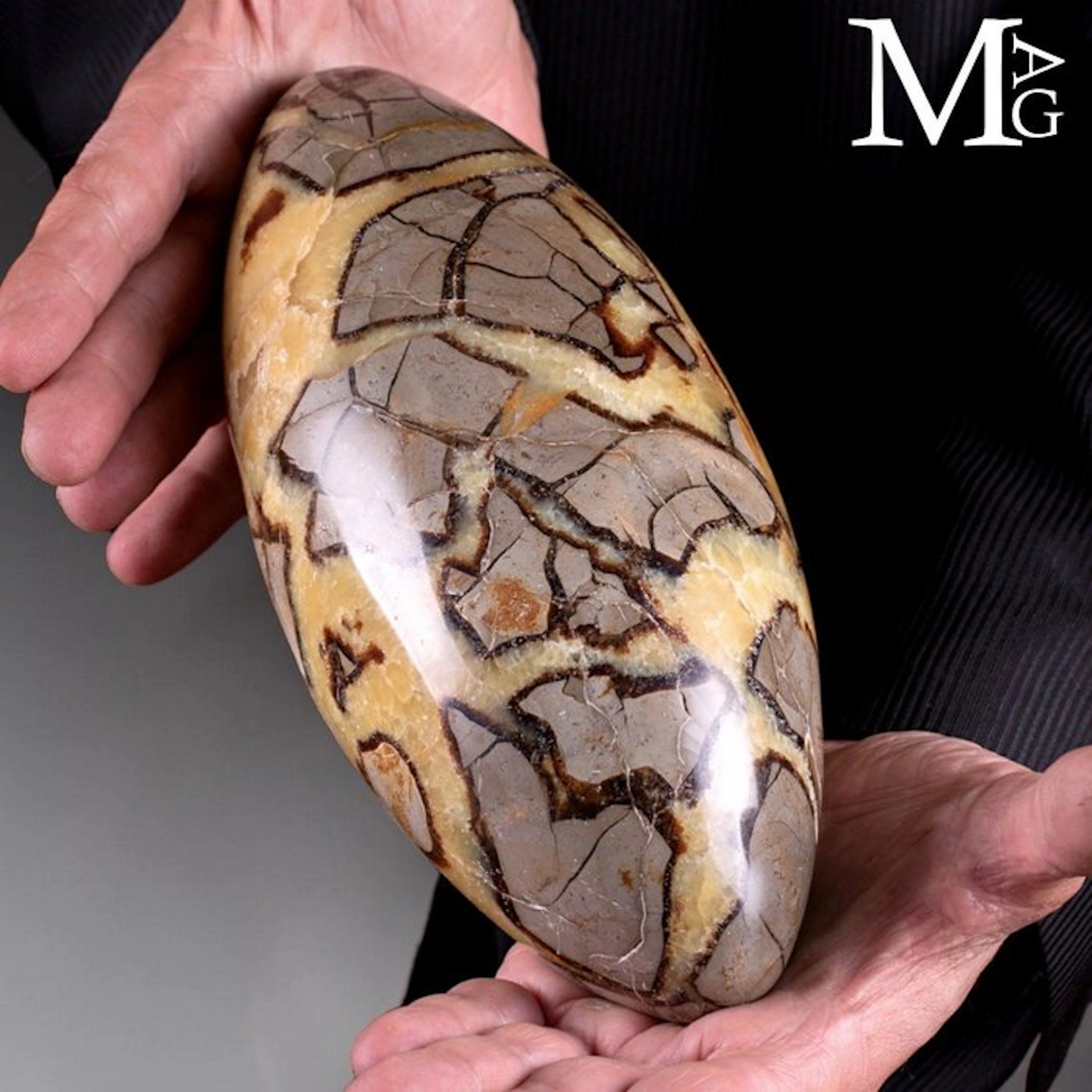 Impressive Septarian 'Dragon Stone' Shiva Lingam...